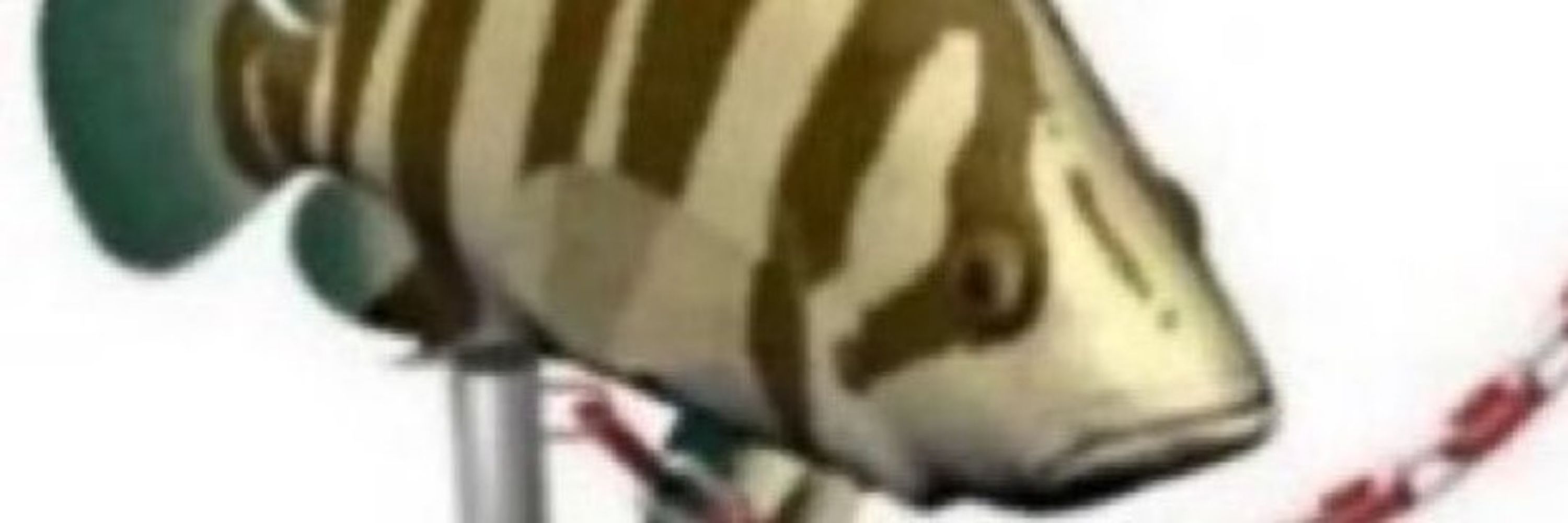 Memakker