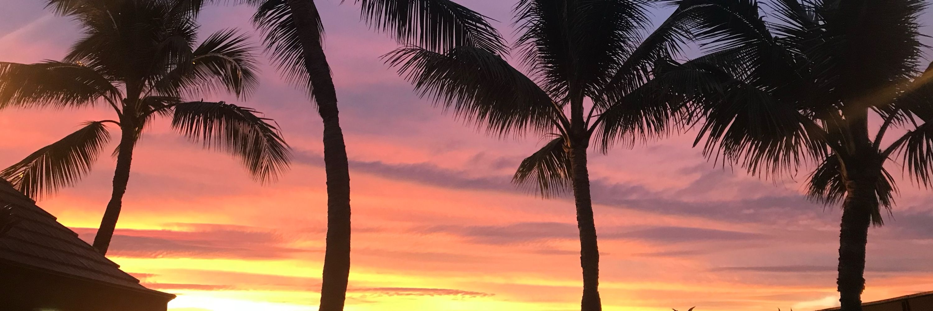 Endless Summer