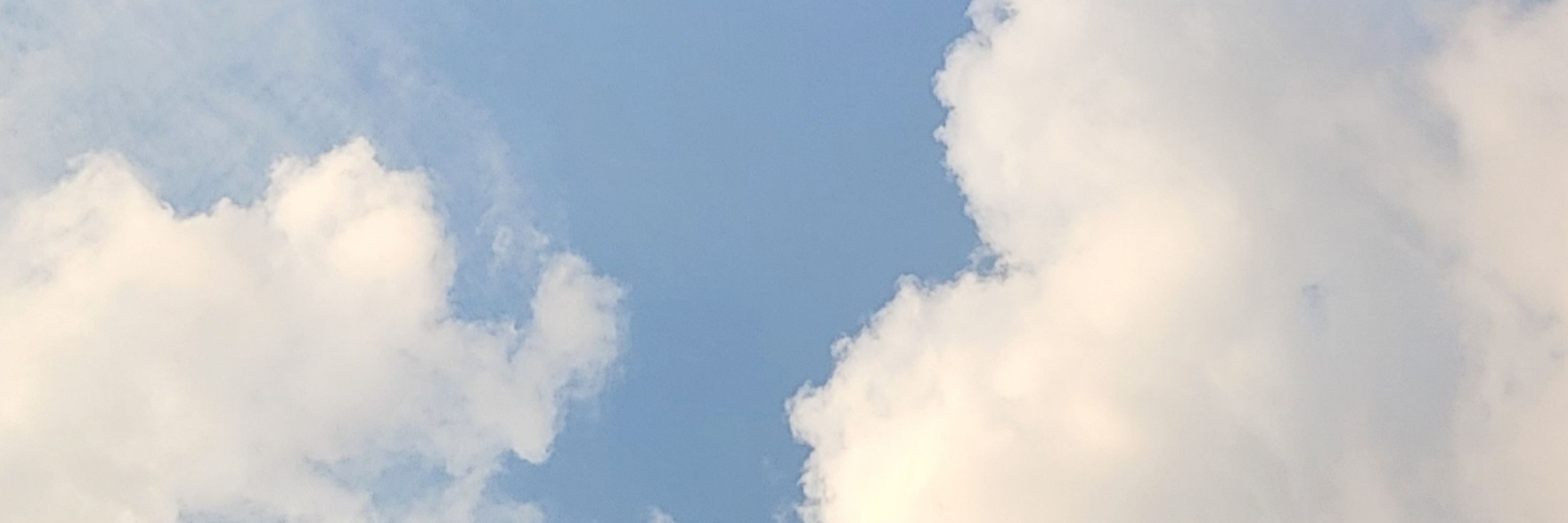 솔⁹¹