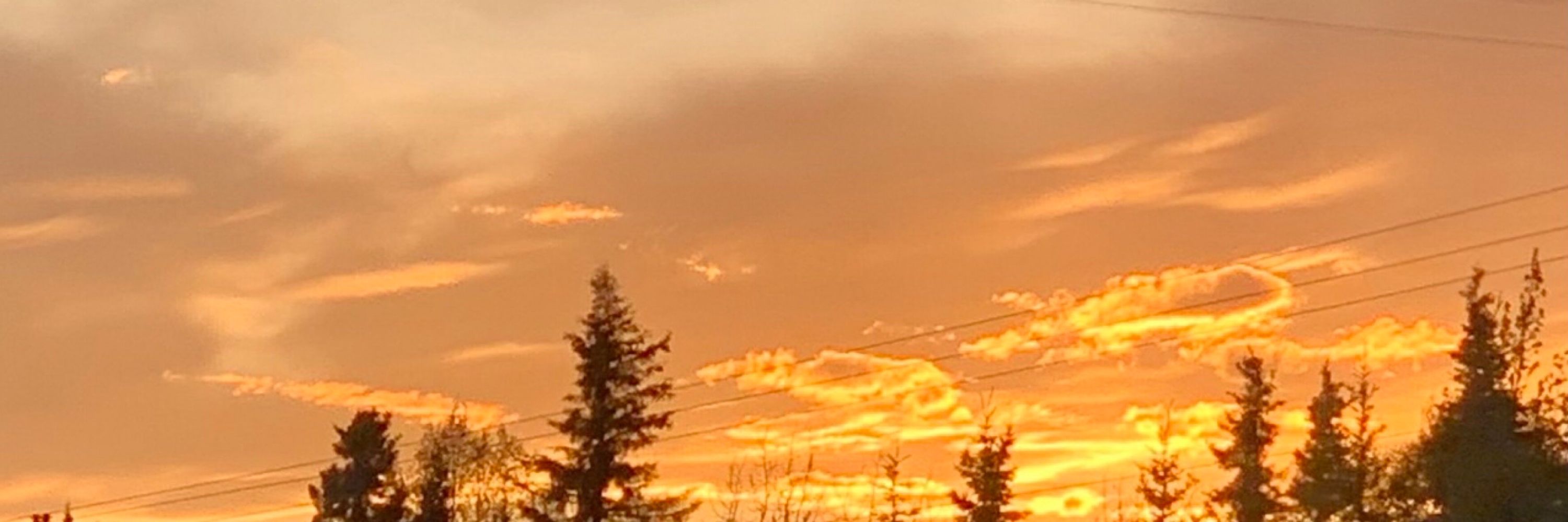 SKY H1