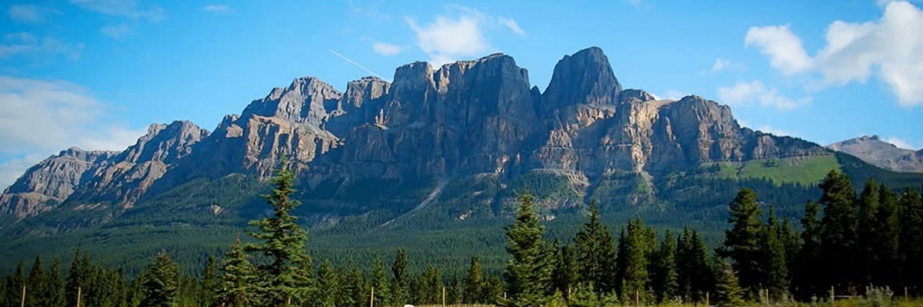 🇨🇦 Rocky🏔️👩‍🦳
