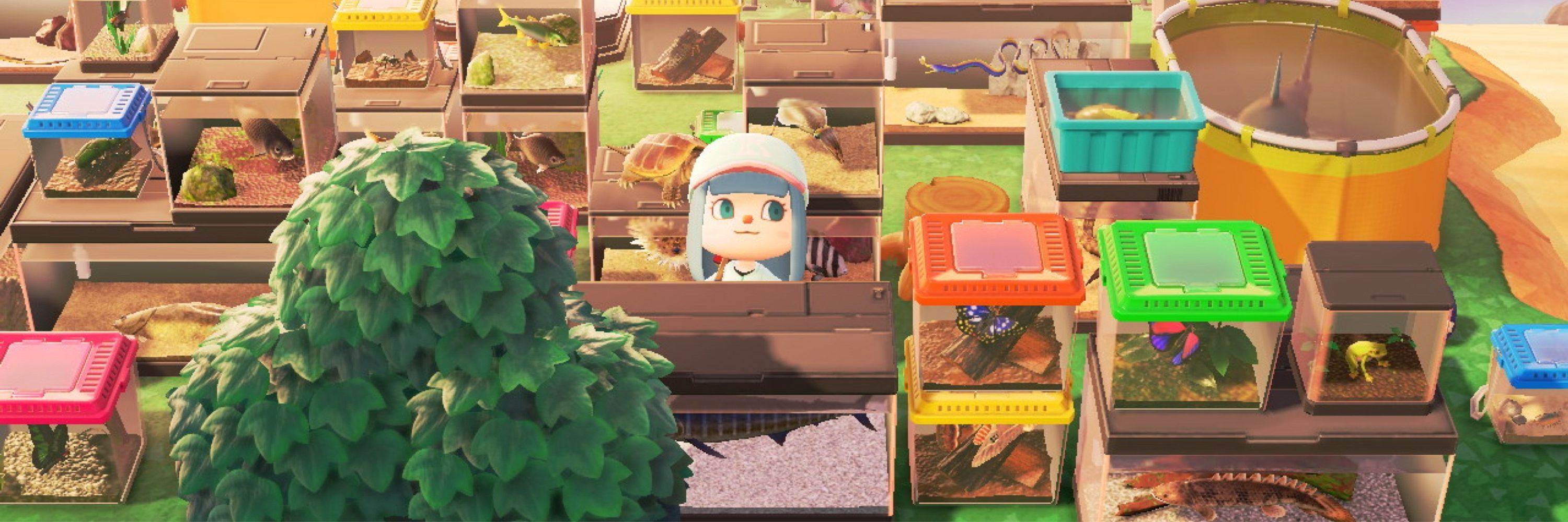 あじ