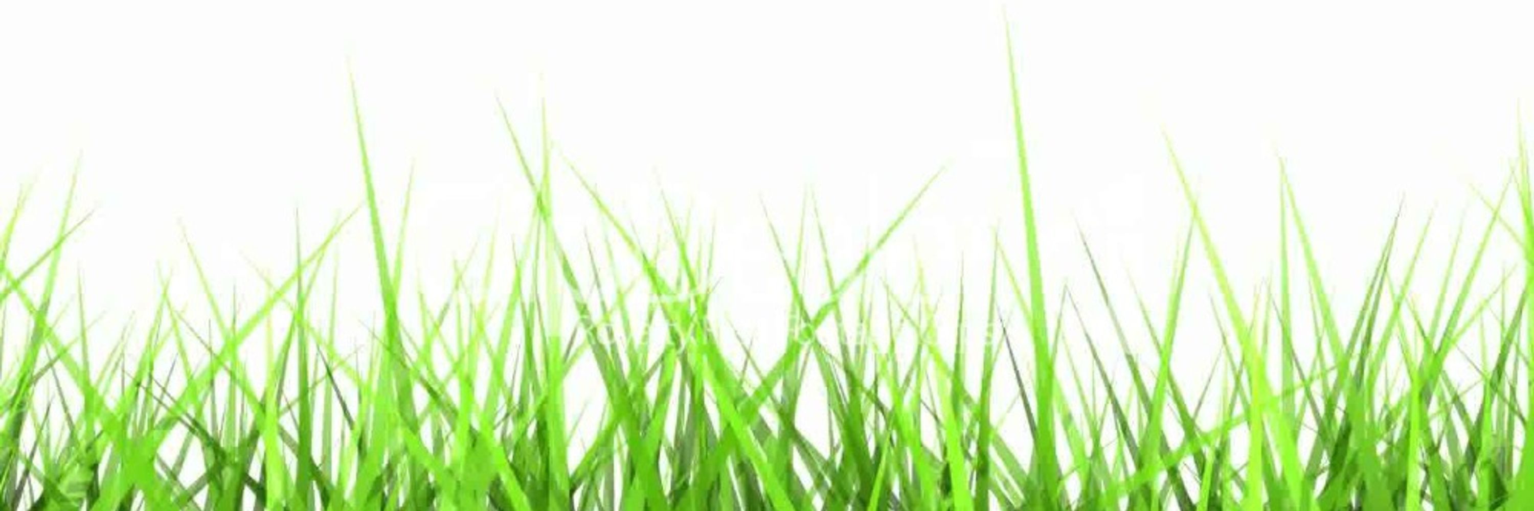 Bradley Landscaping