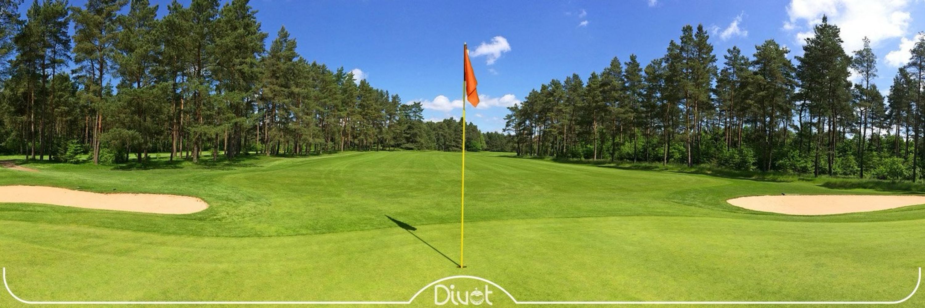 Divot Golf