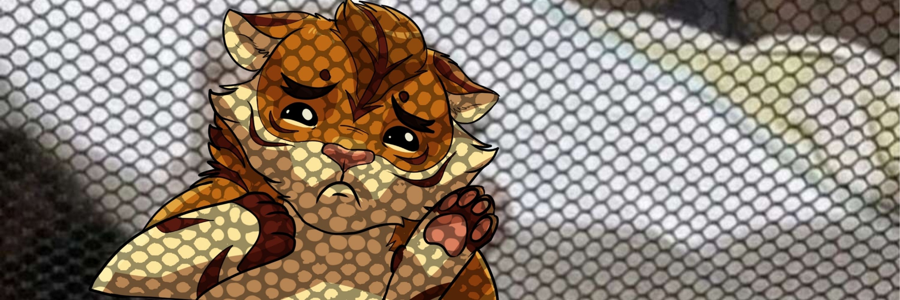 1eepytiger 