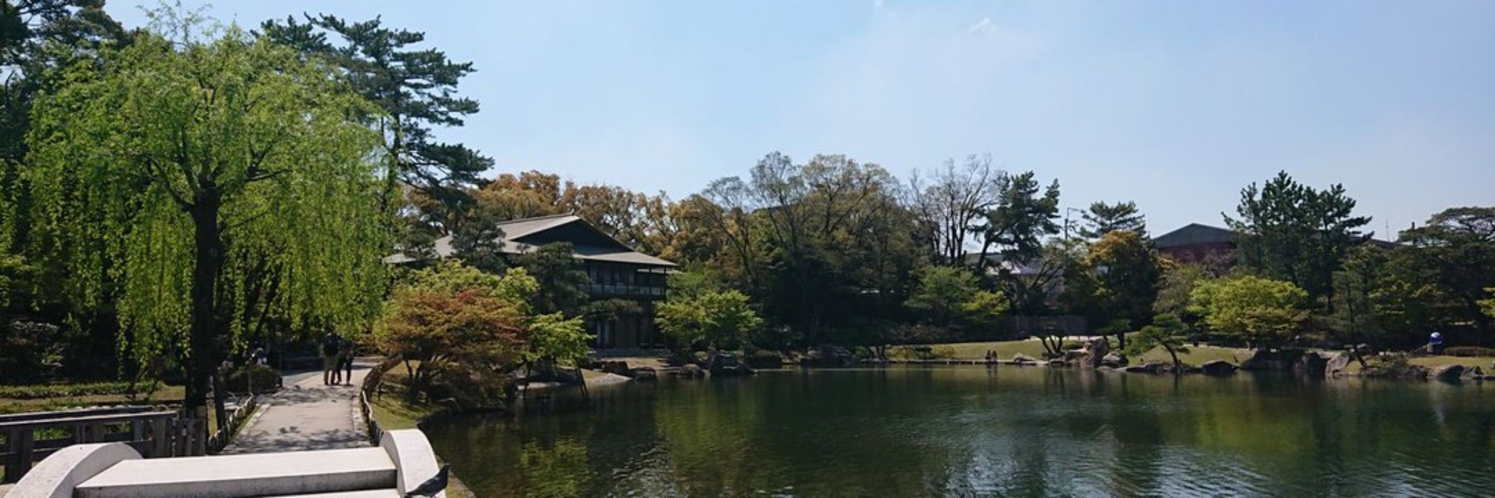 挟見みもり
