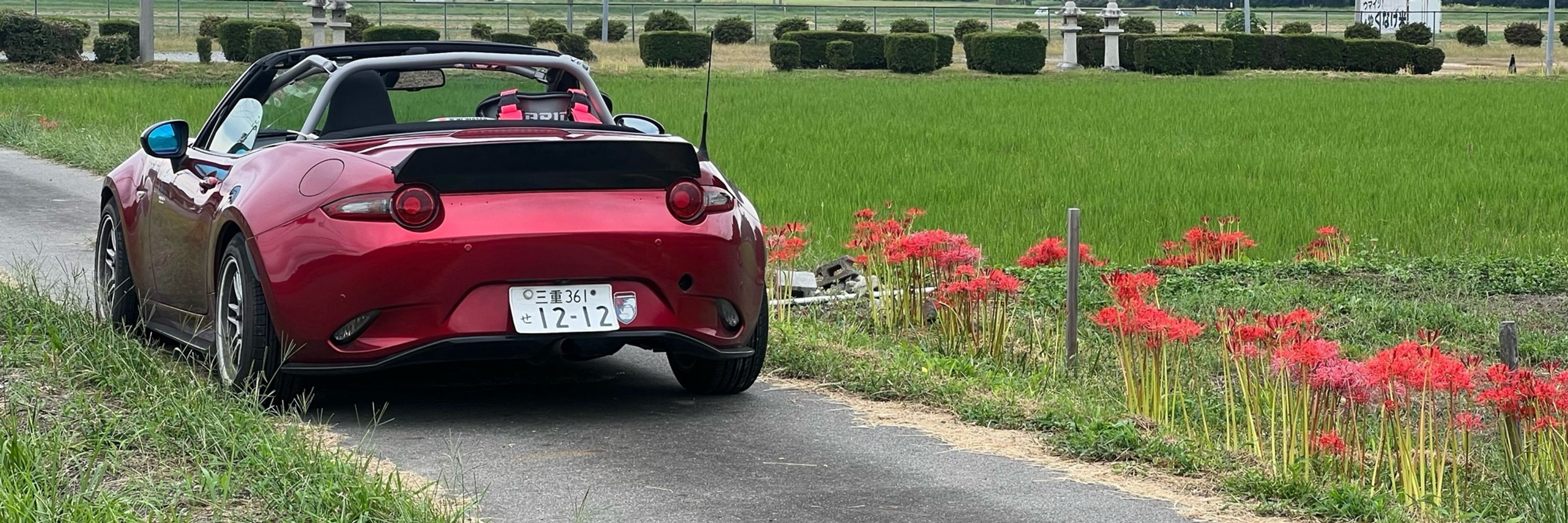ばこん