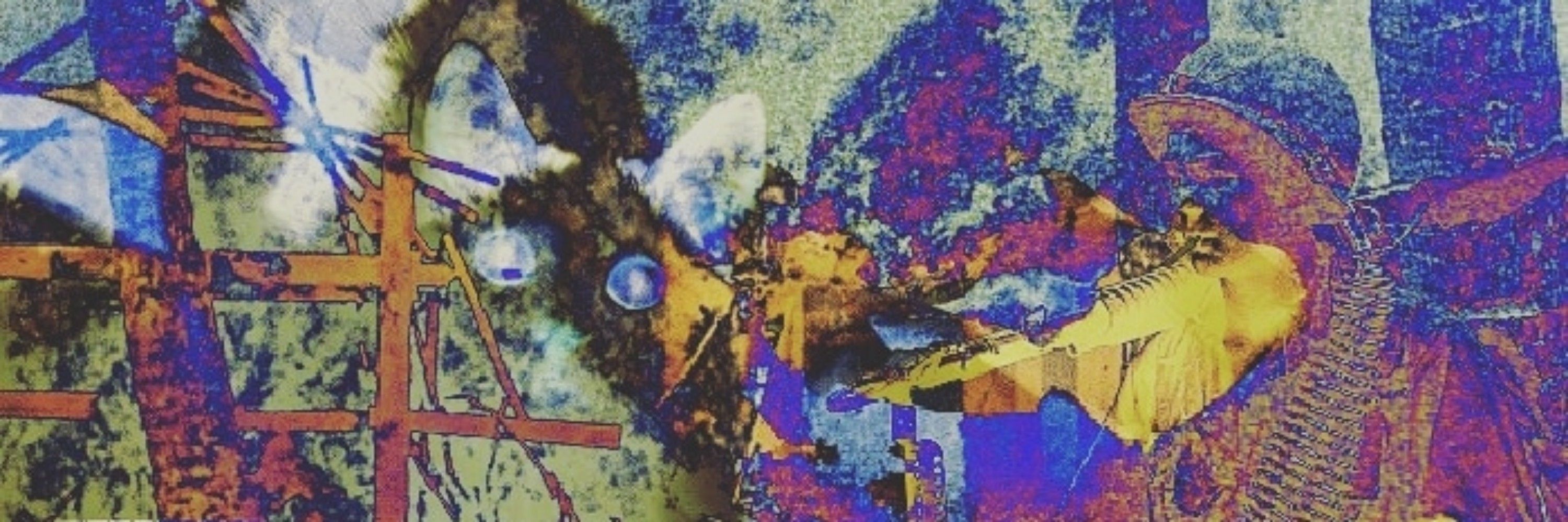 Bee from the Fool's village 