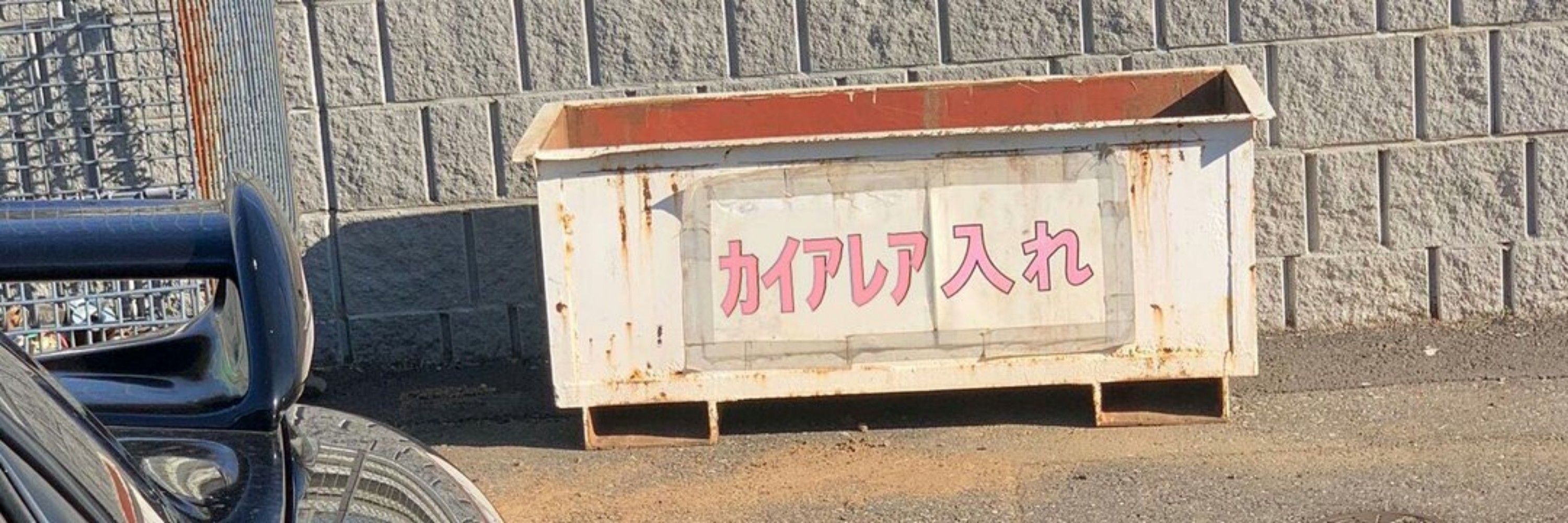 カイアレア