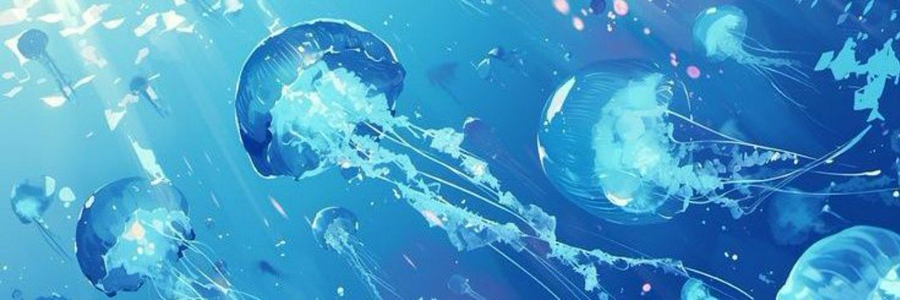 ɛɖɖɨɛ ɮɨȶǟռɢƈօʟ 💎