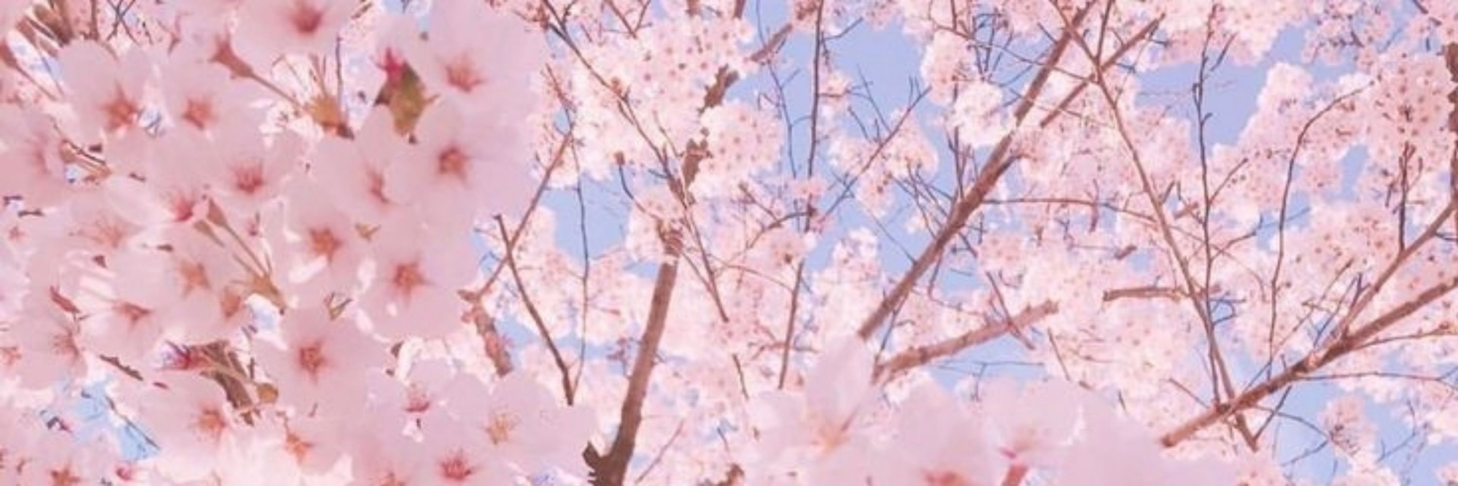 ▪︎~°`🌸♡☆•-•°`_Lisy_`°•-•☆♡🌸`°~▪︎