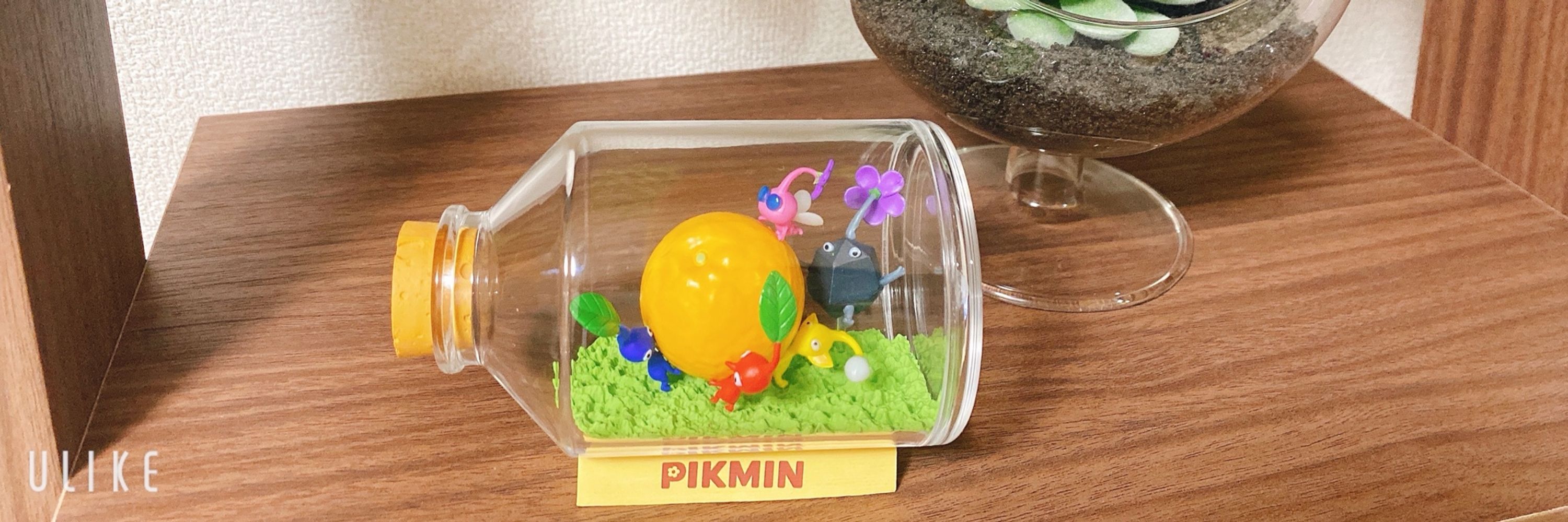 すいみー