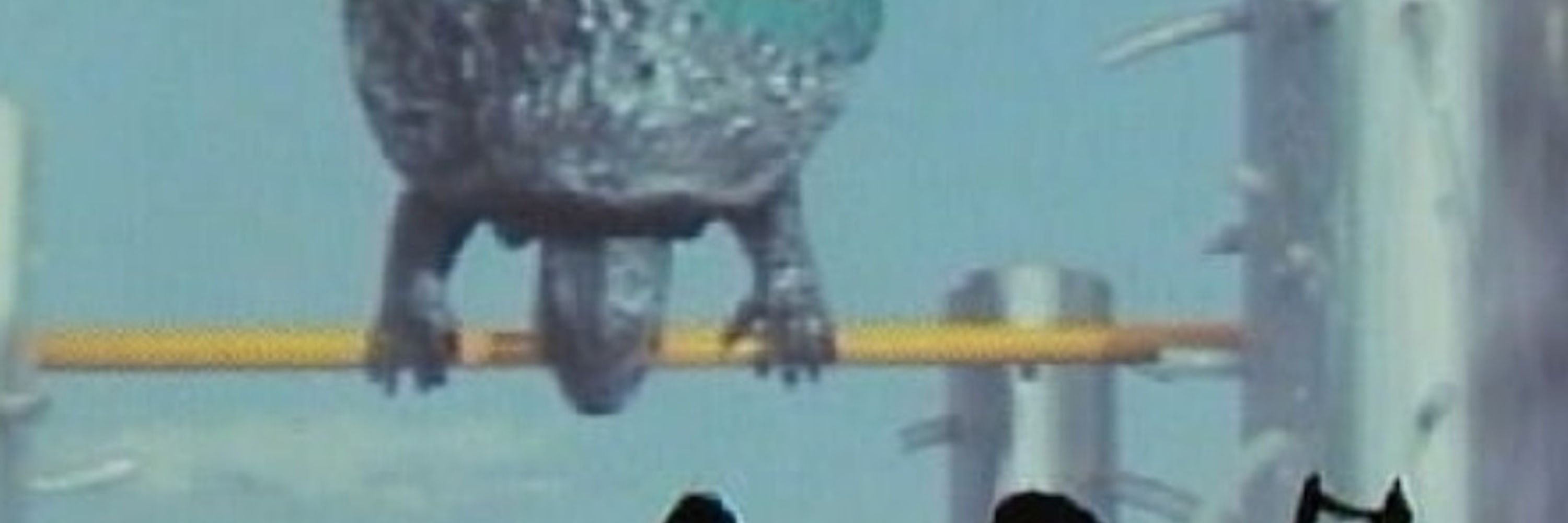 Razormaw