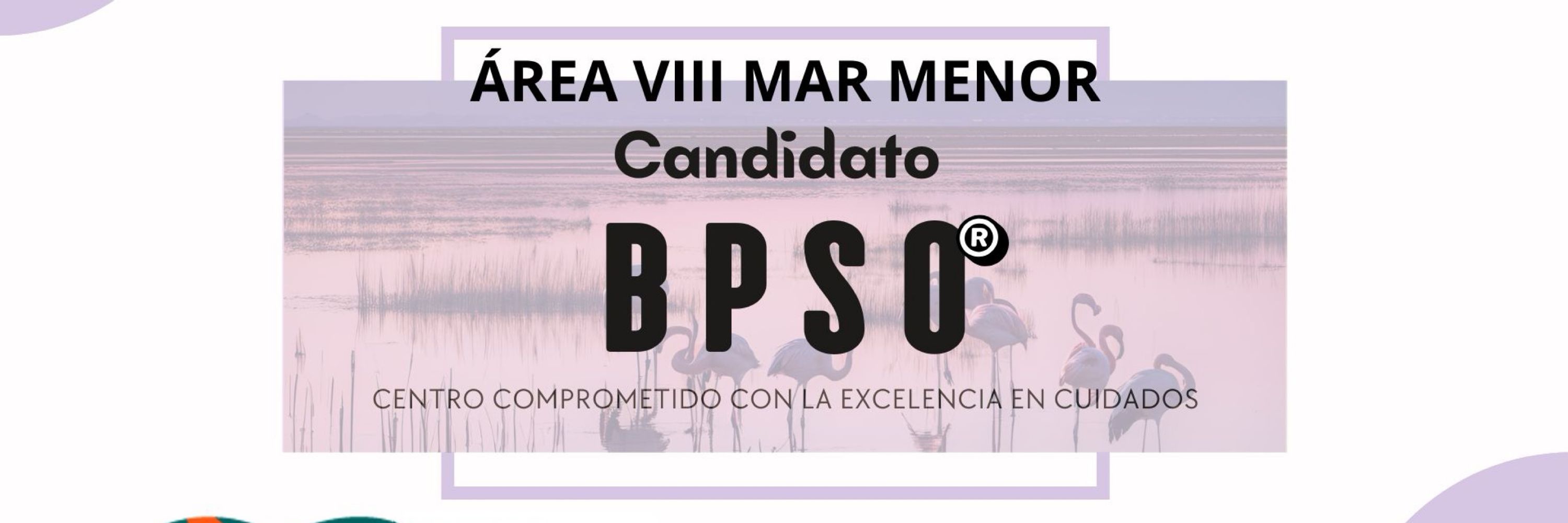 Área VIII Mar Menor.Servicio Murciano de Salud