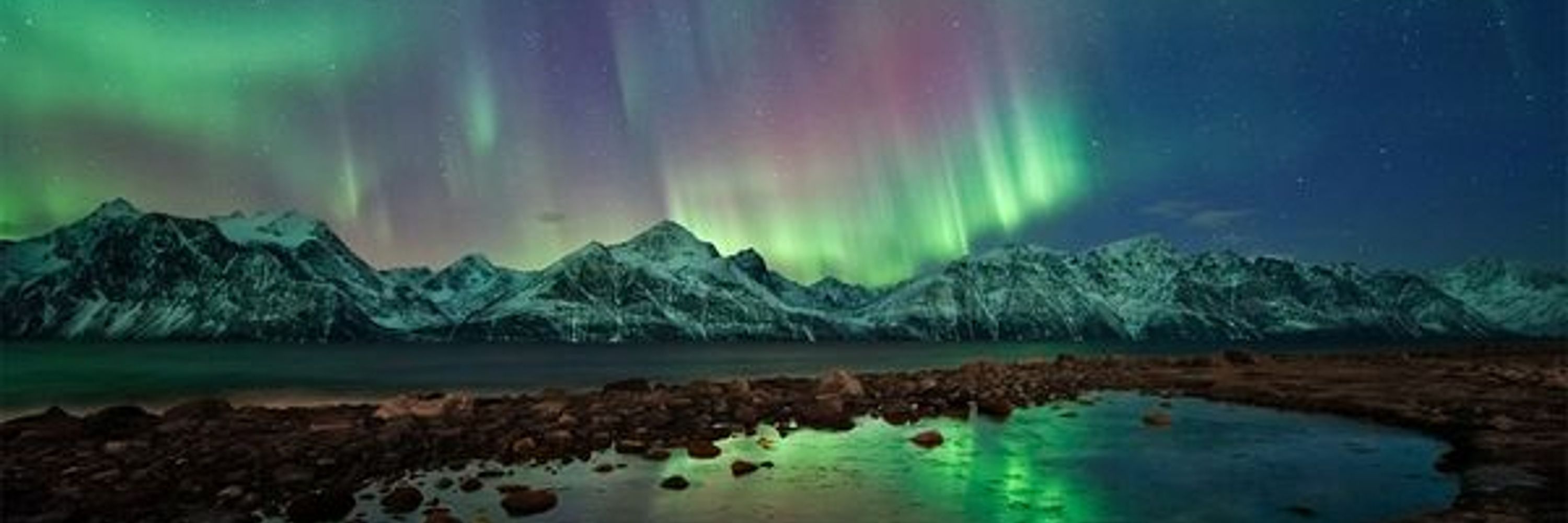 Rob Sean Wilson