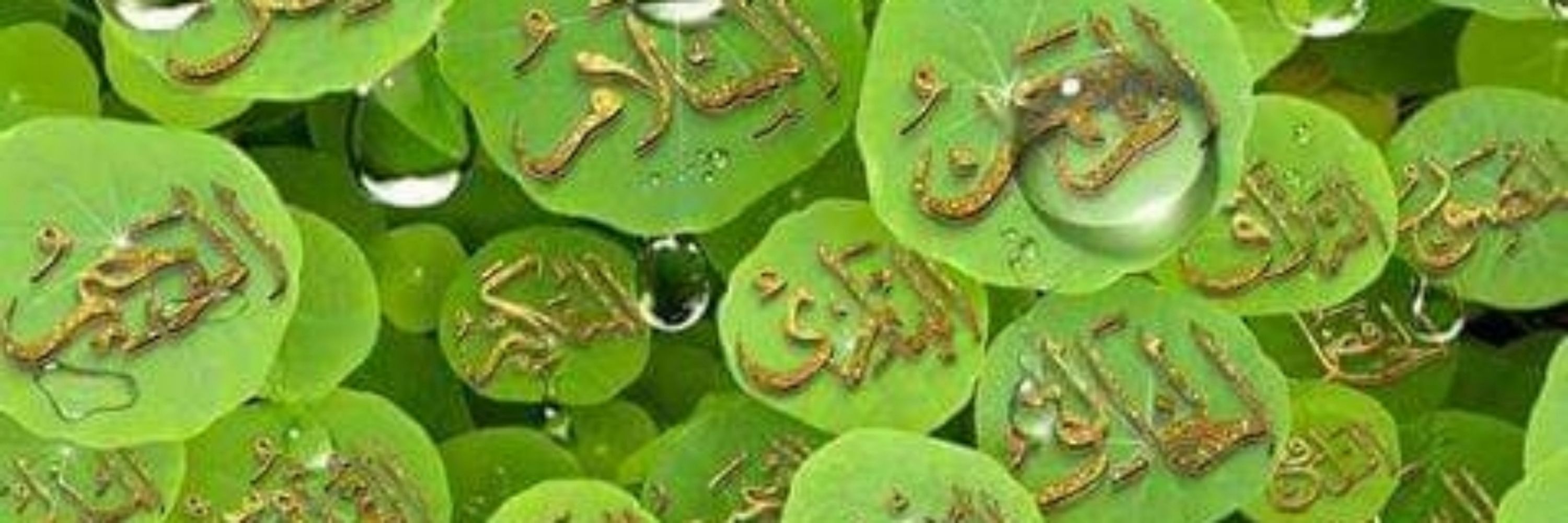Shazia Memon