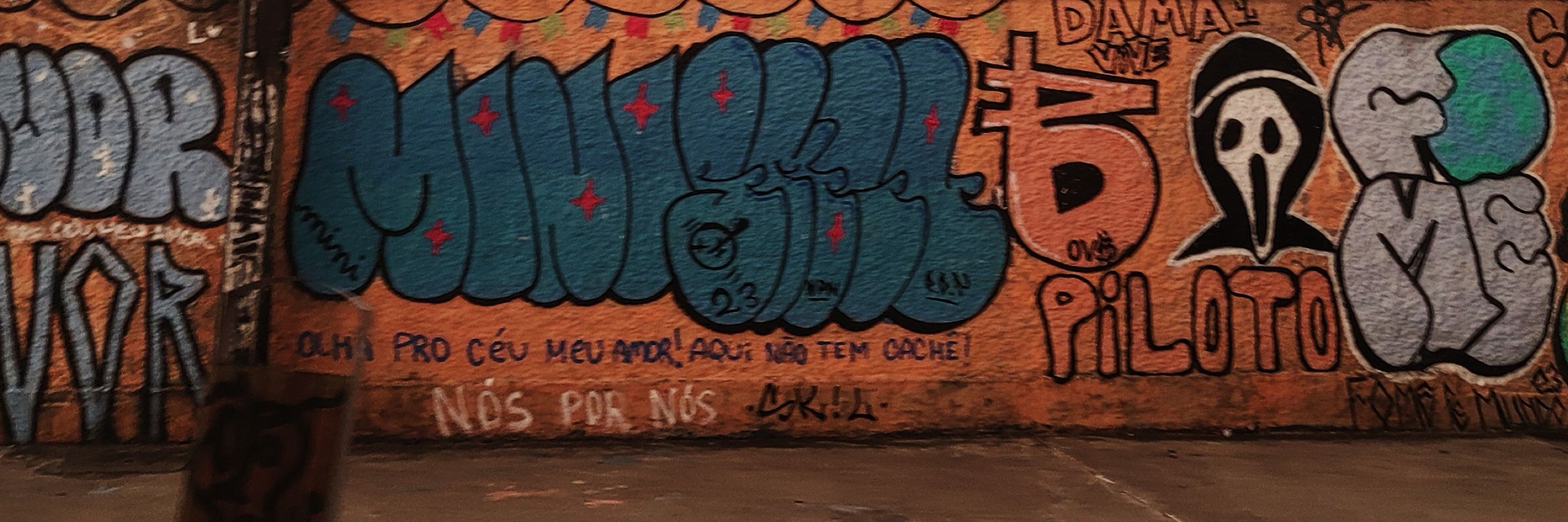 Luiz netto