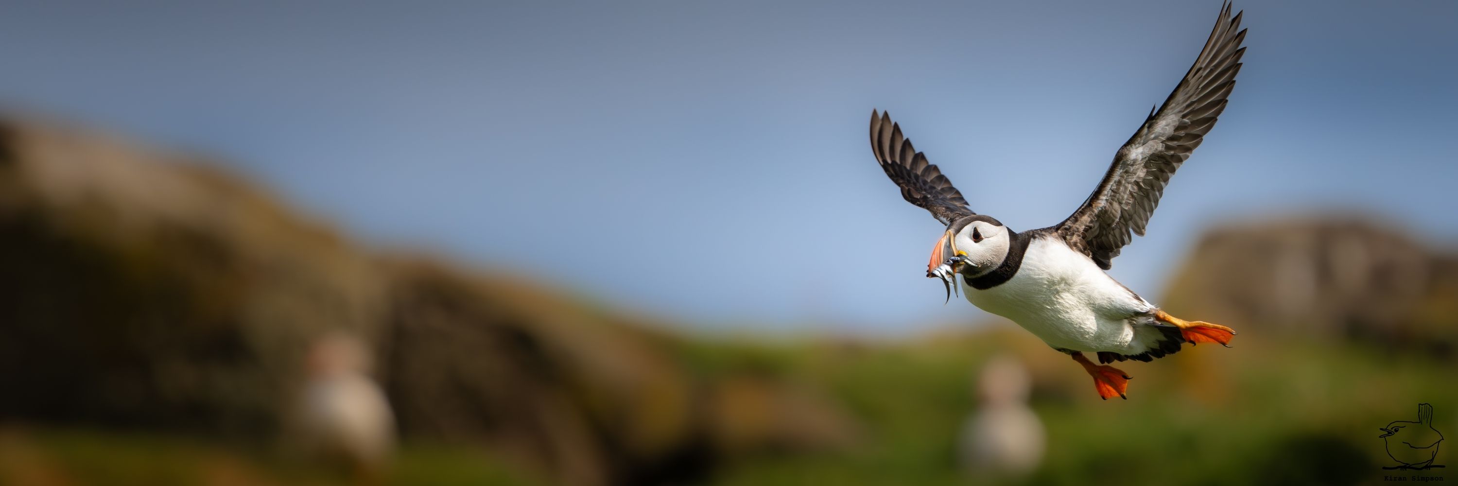 Kiran Simpson Photography