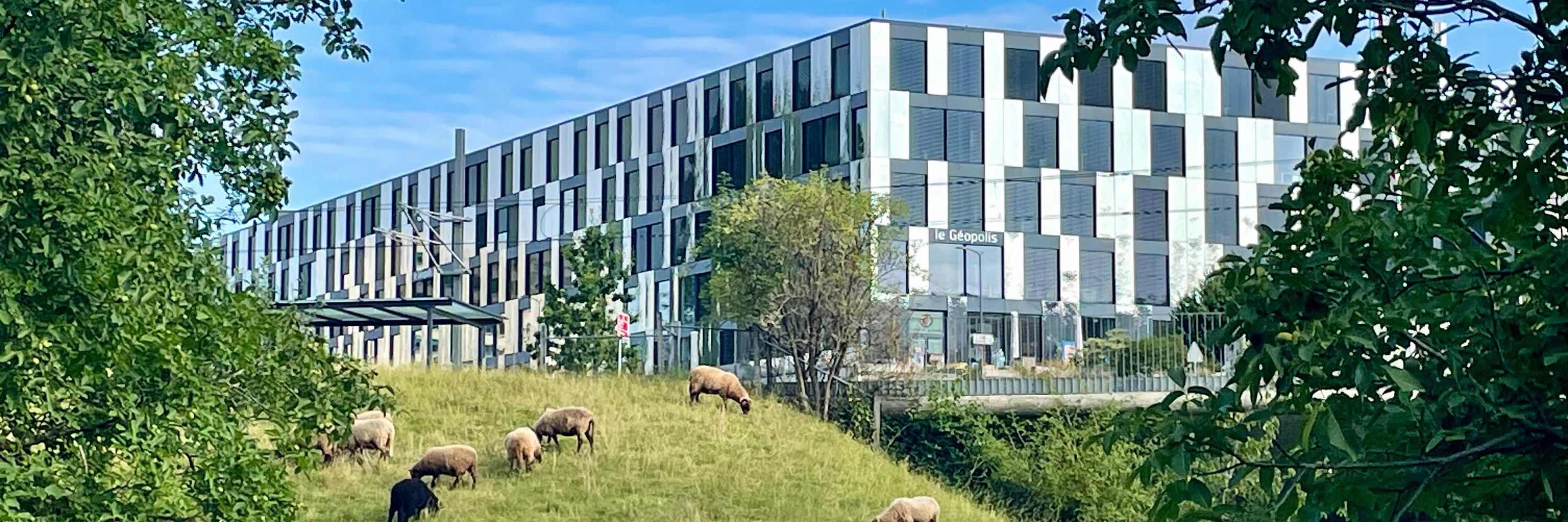 Soil Biogeochemistry @ UNIL