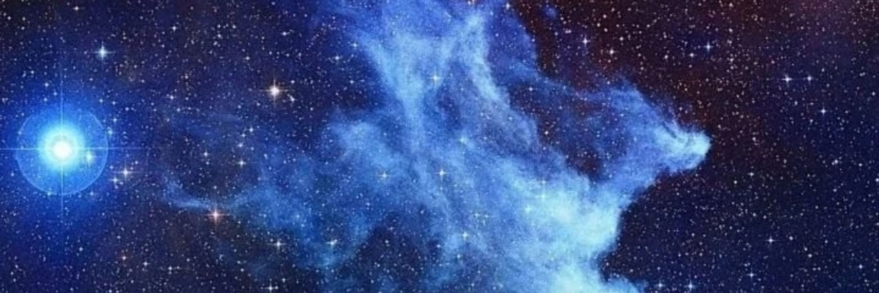 Blue Wizard