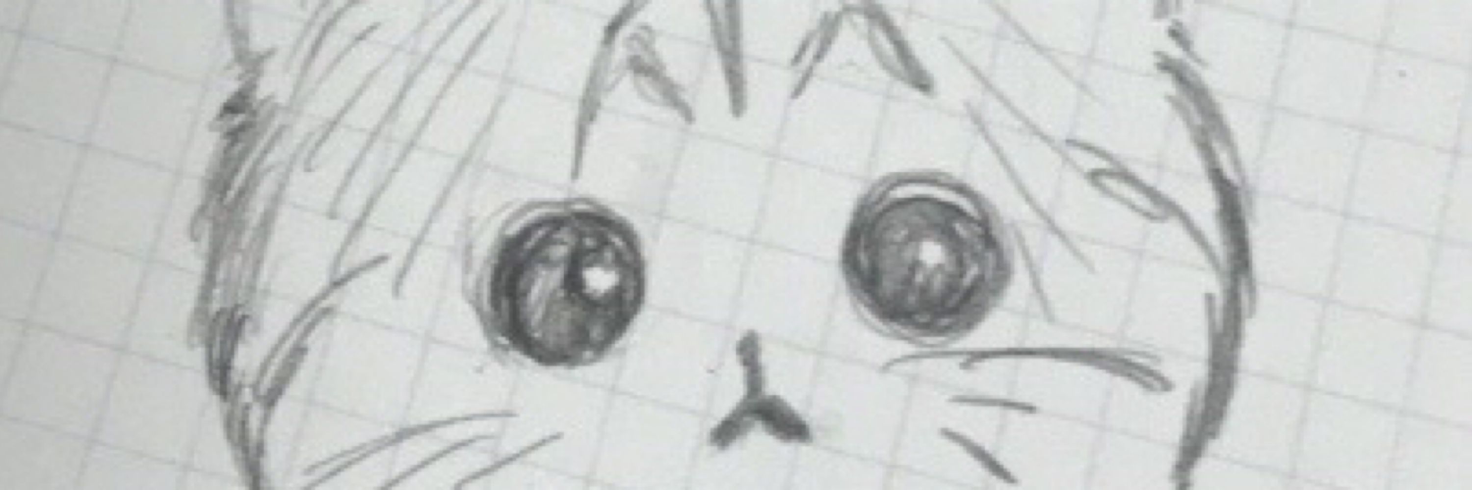 くもちゃん