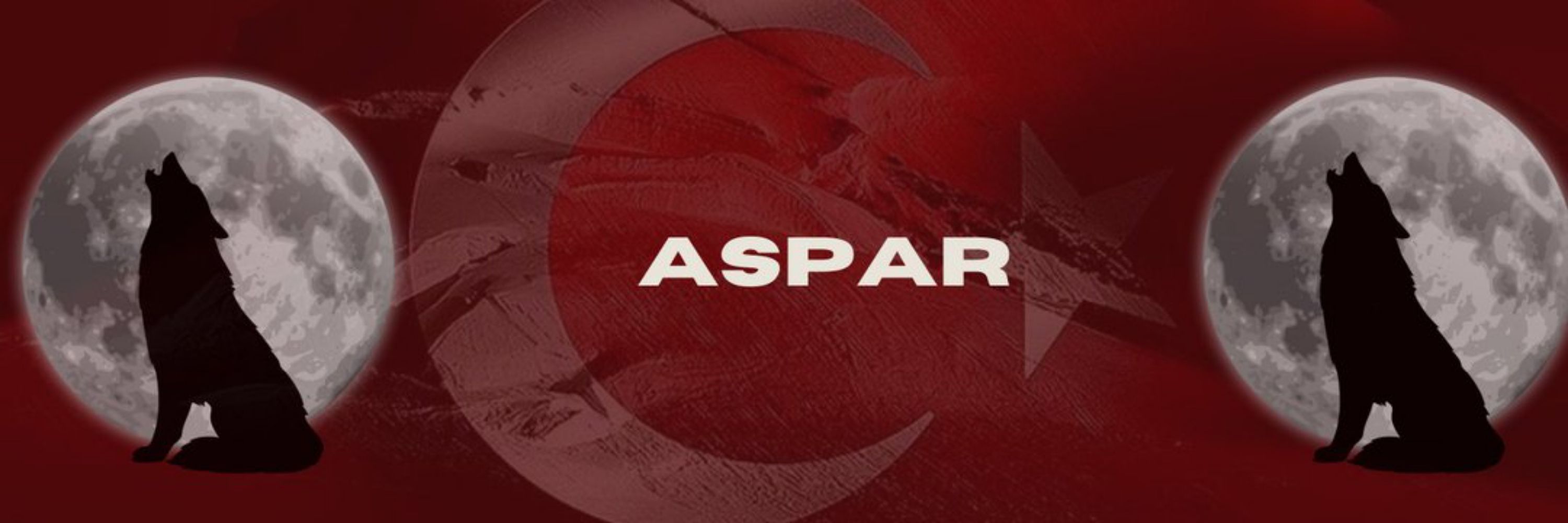 𝘼𝙨𝙥𝙖𝙧 𐱅𐰇𐰼𐰚 🇹🇷