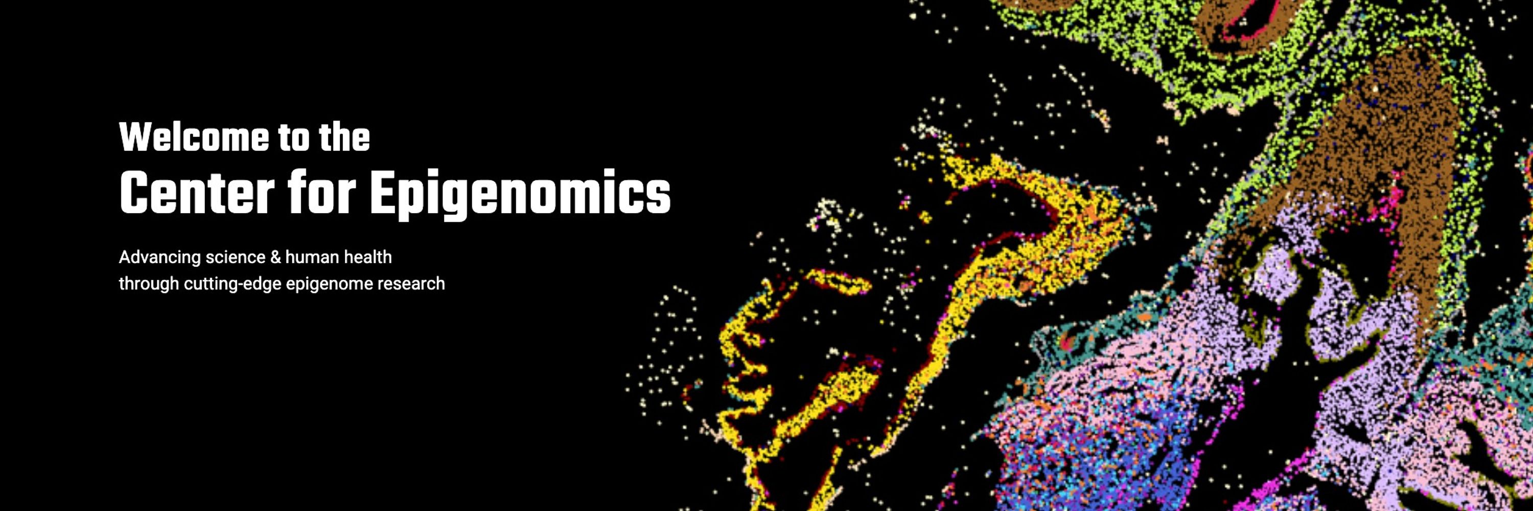UC San Diego Center for Epigenomics