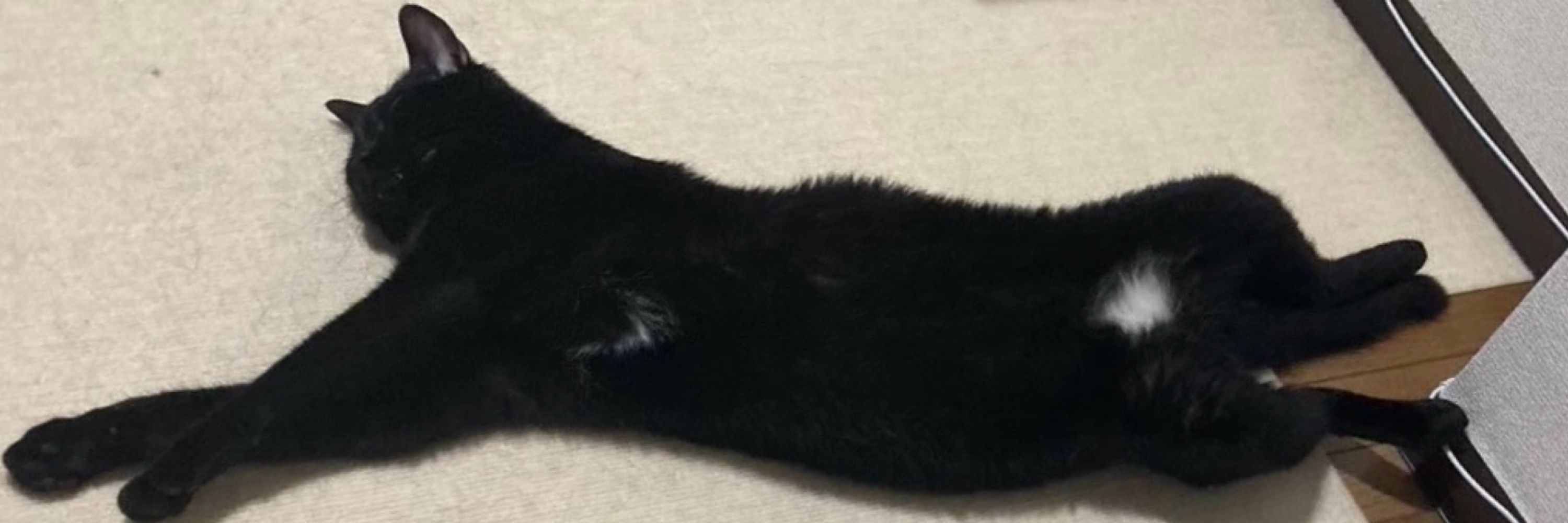 ｷﾞｮｸﾛ