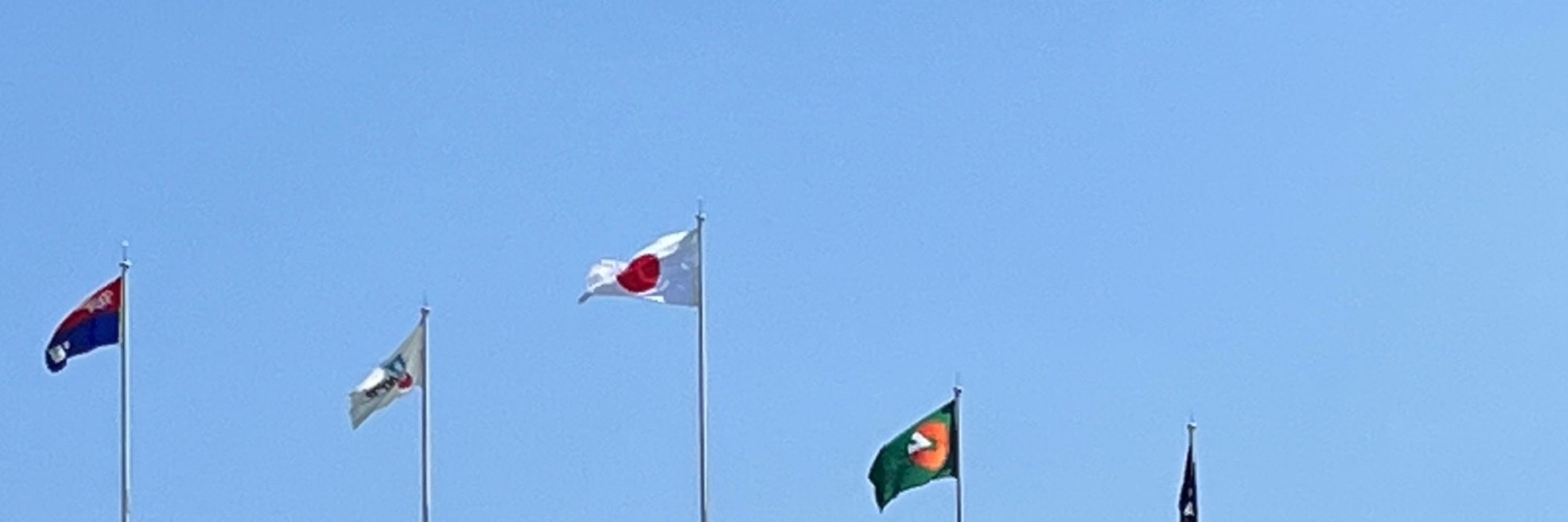 たいしら