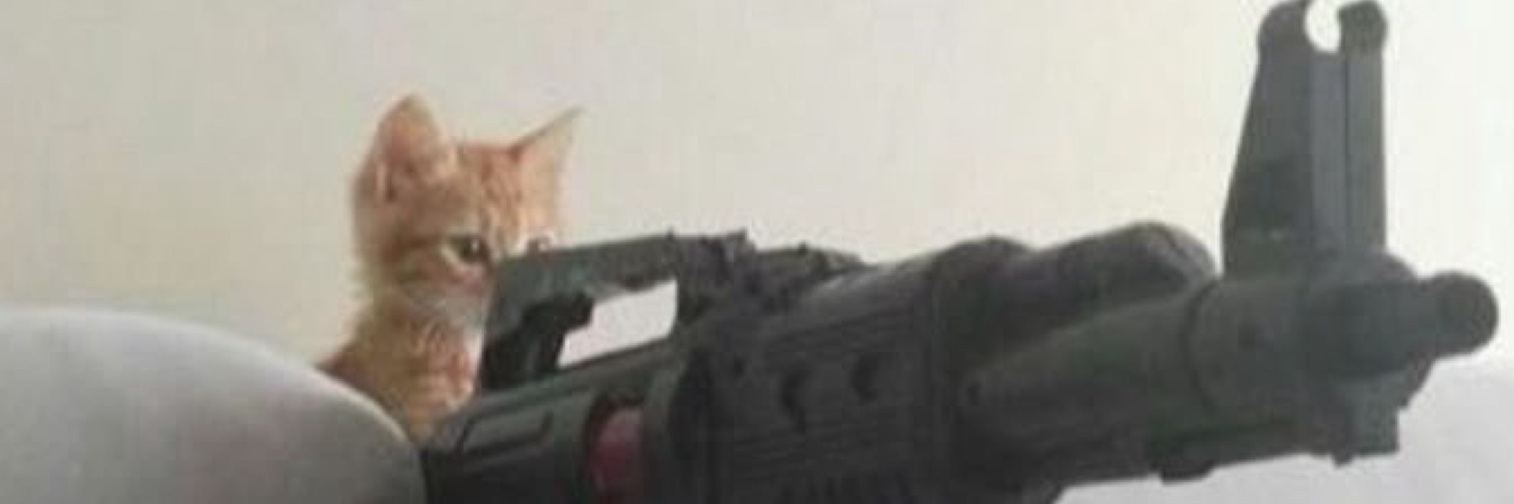 Eylyl