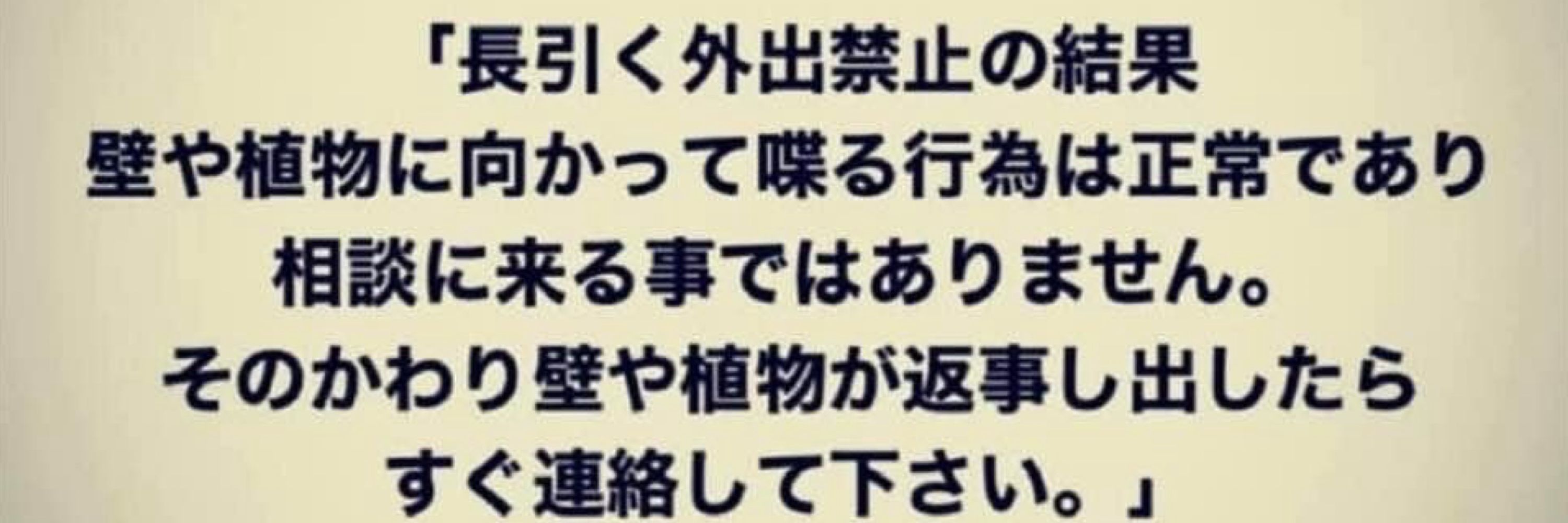 koshi🪶