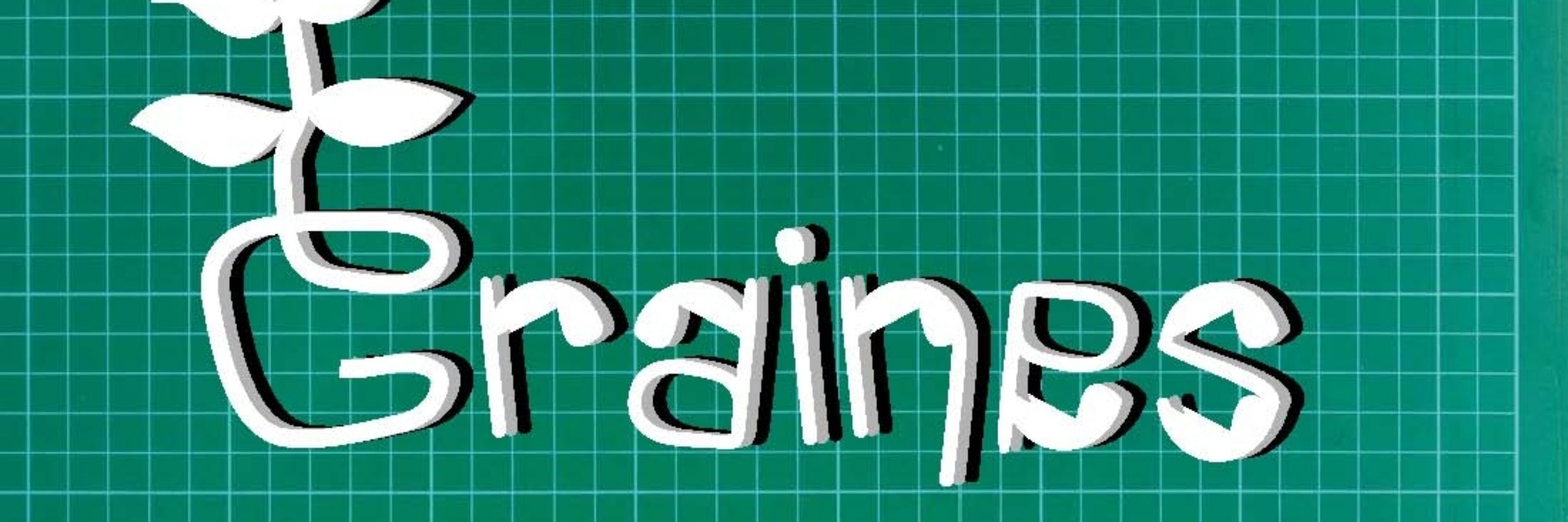 GRAINES STORE. Broderie personnalisée