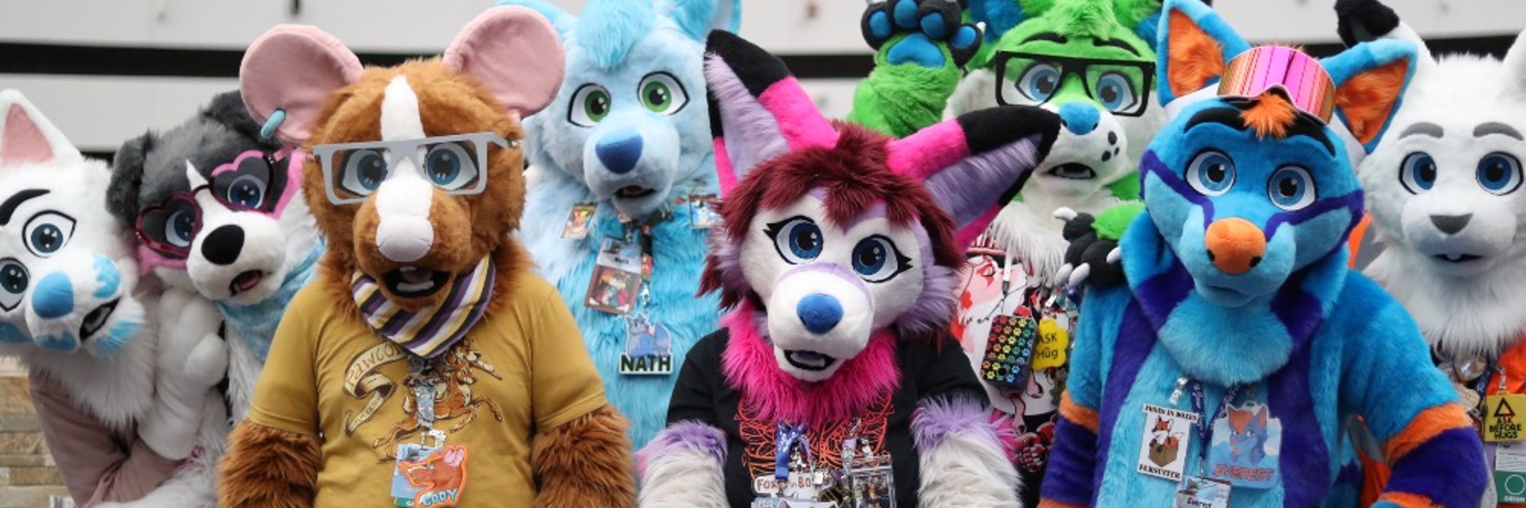 Foxes in Boxes Fursuits