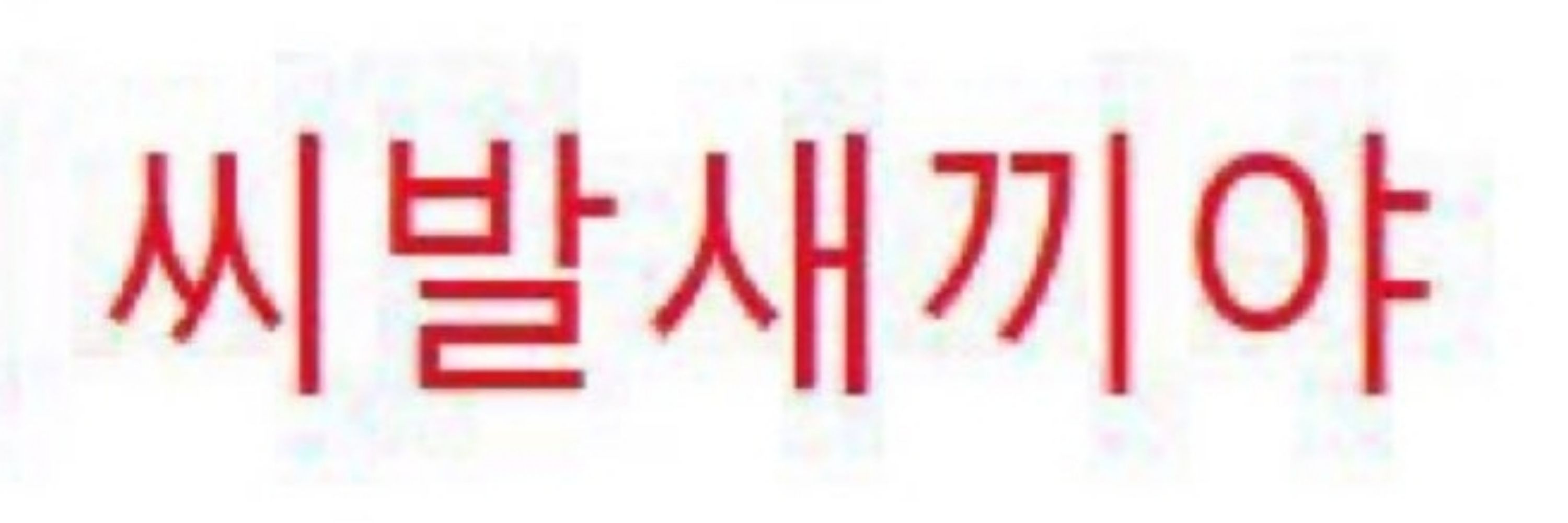 둘기년