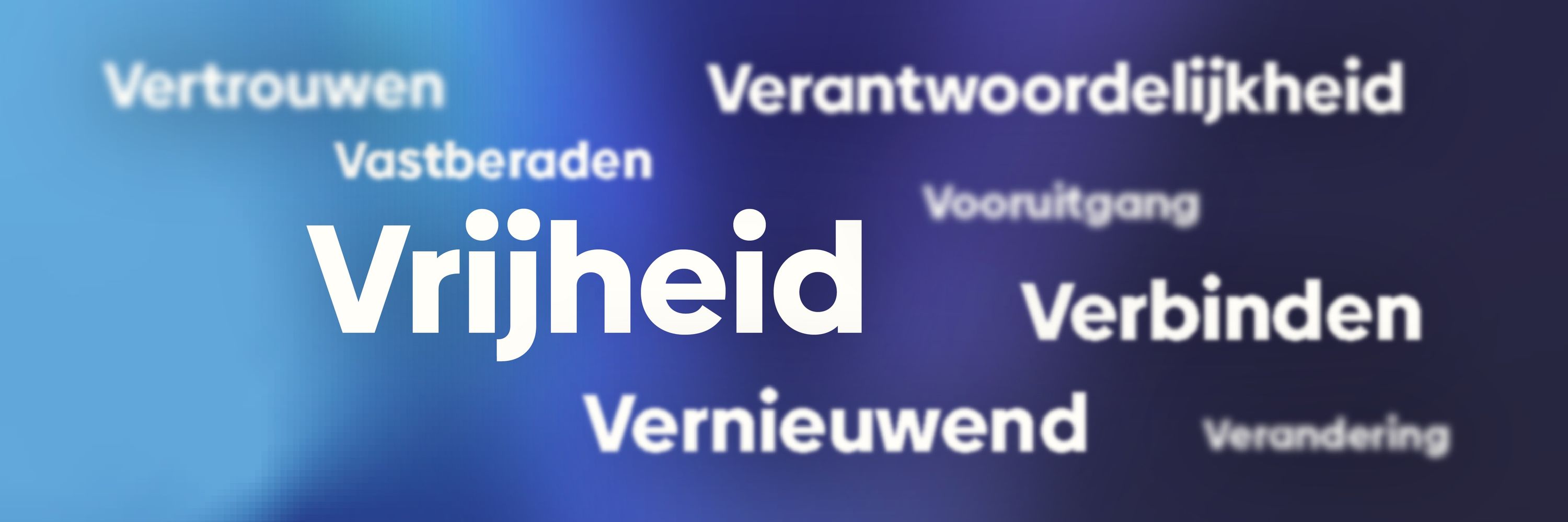 Open Vld
