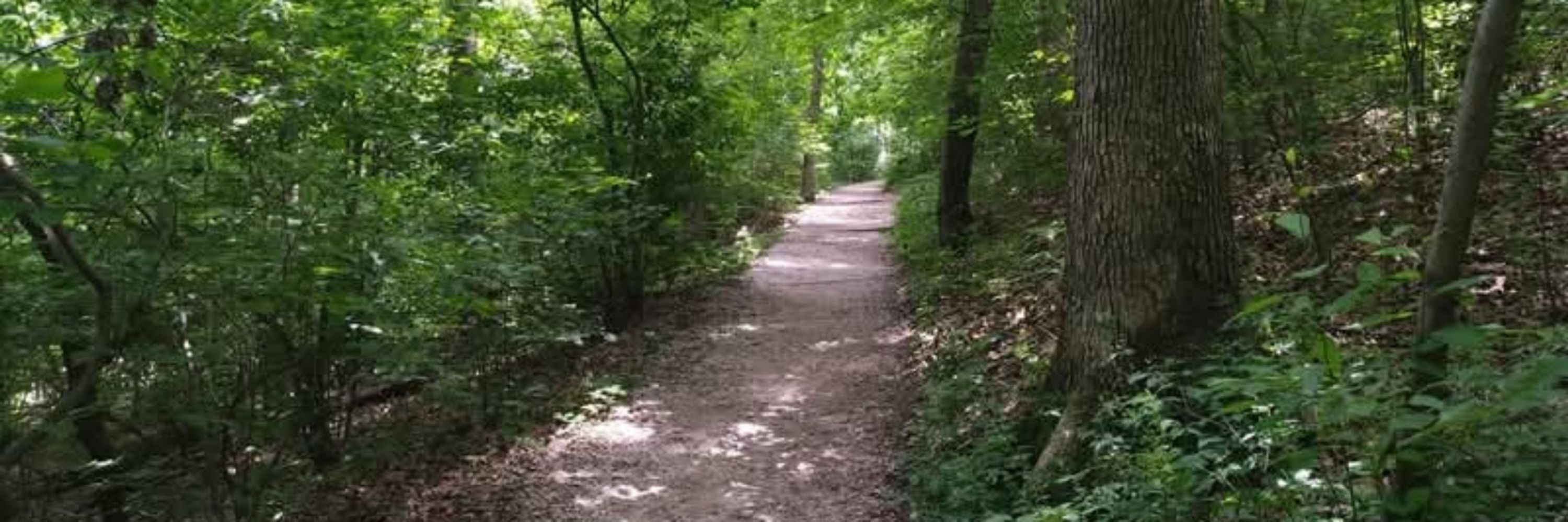 Trail o Fire