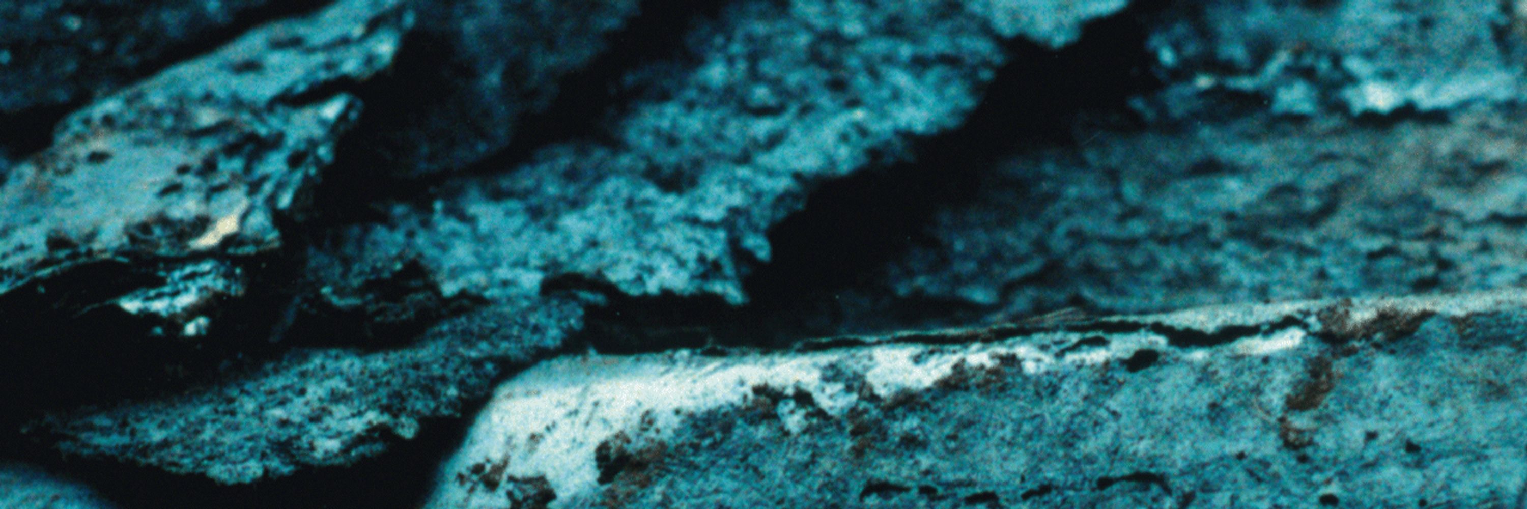 eEL