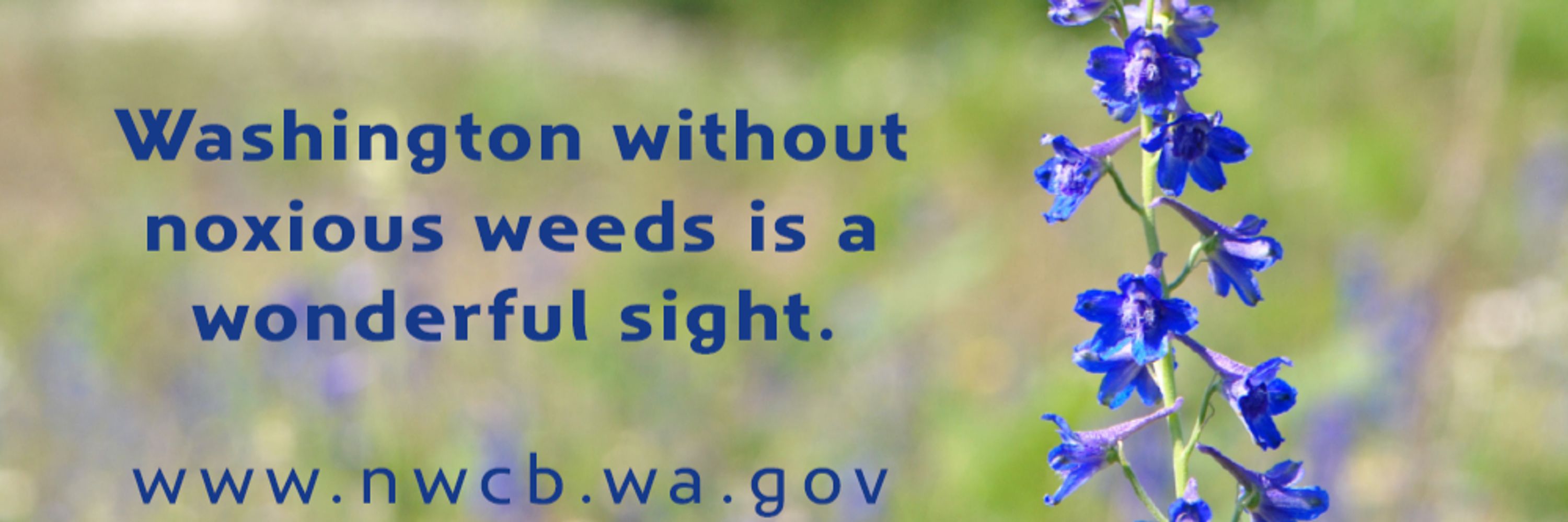 Washington State Noxious Weed Control Board