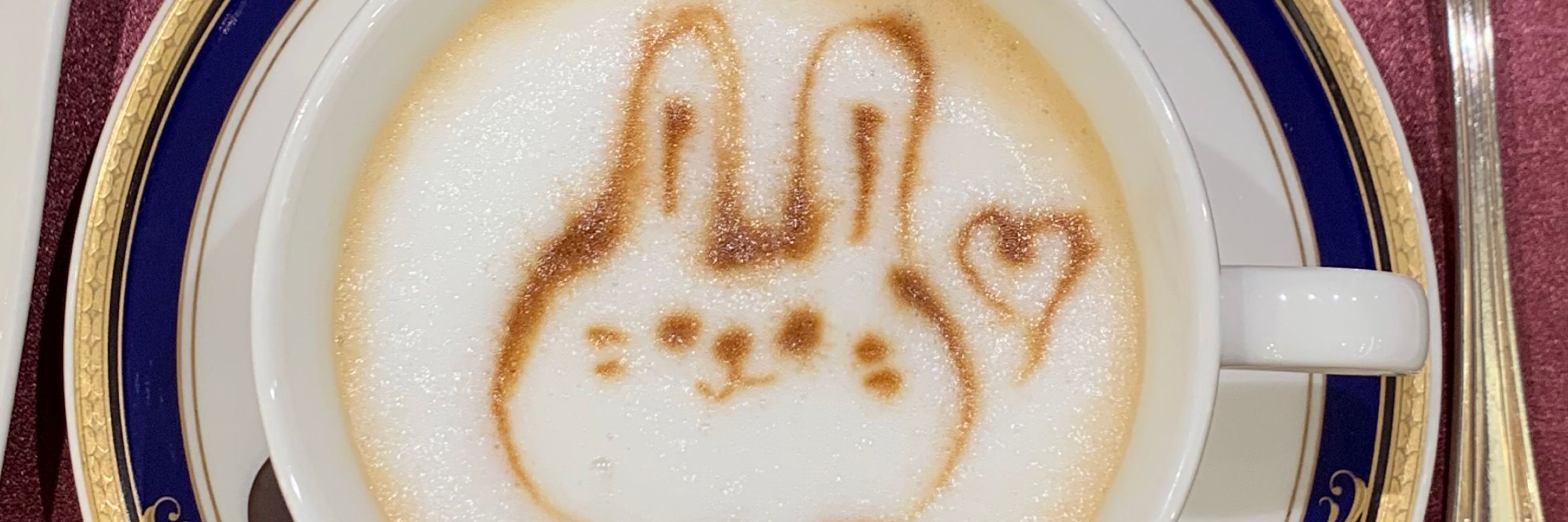 うさこ✩.*˚