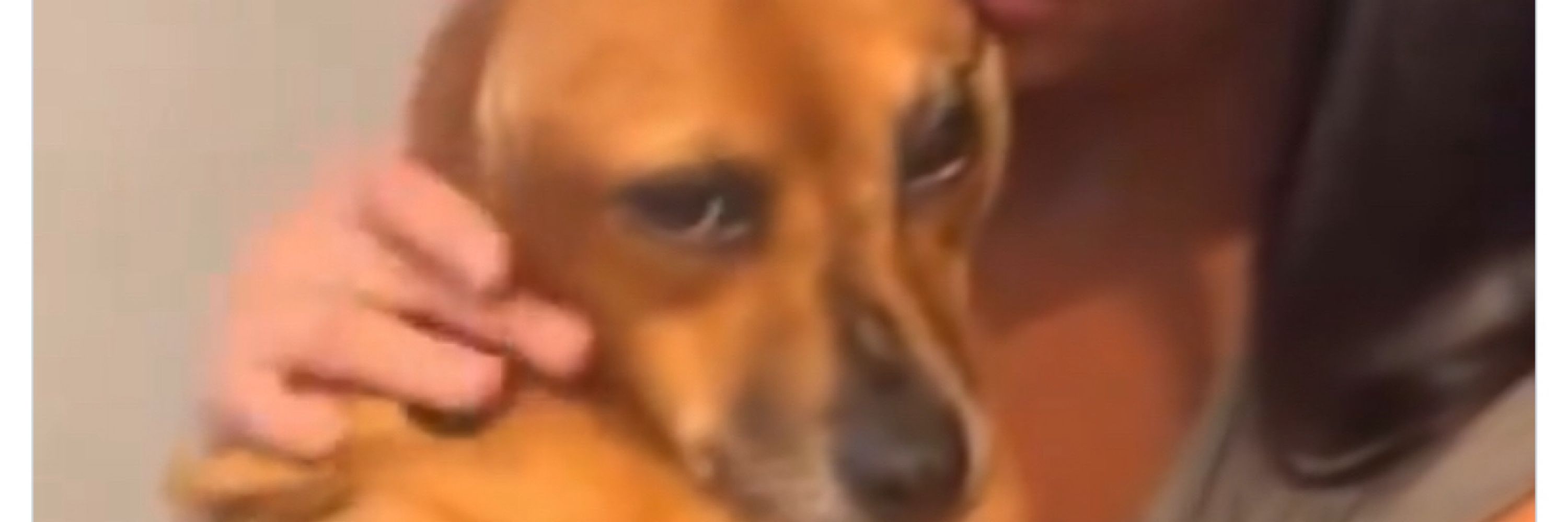 Mood