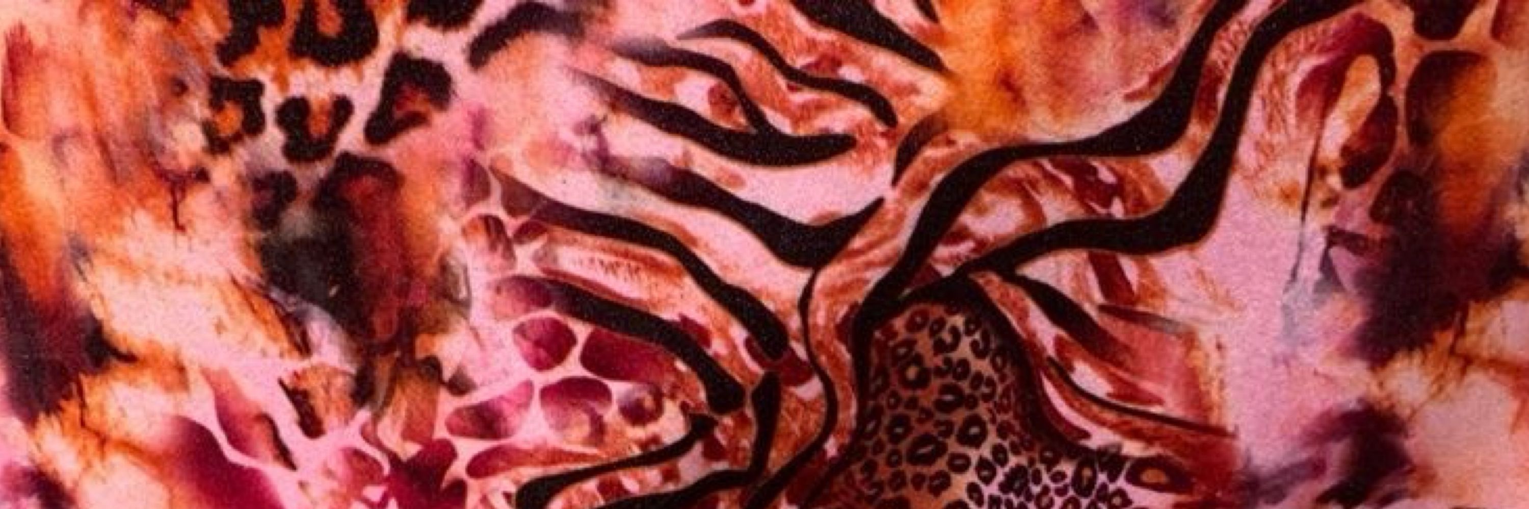 sophisophi