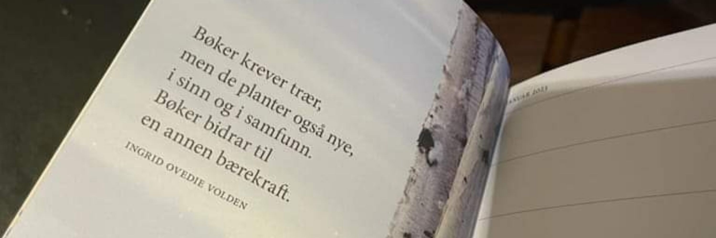 Ingrid Ovedie Volden