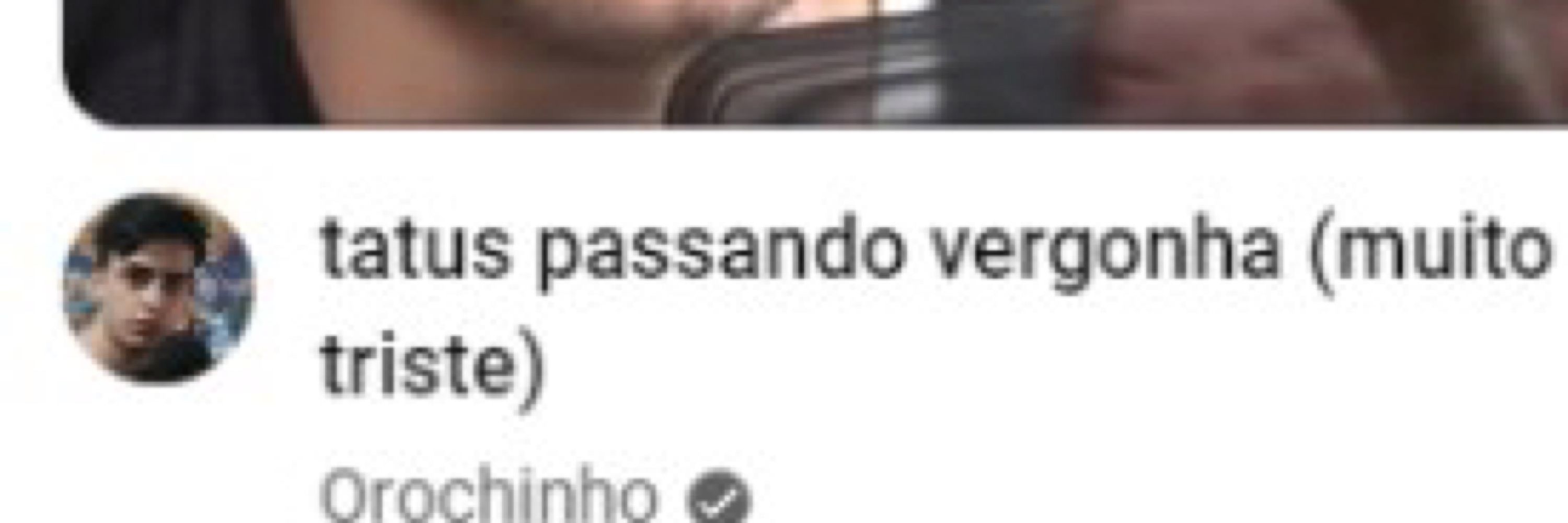tatu quer ferias 🌰