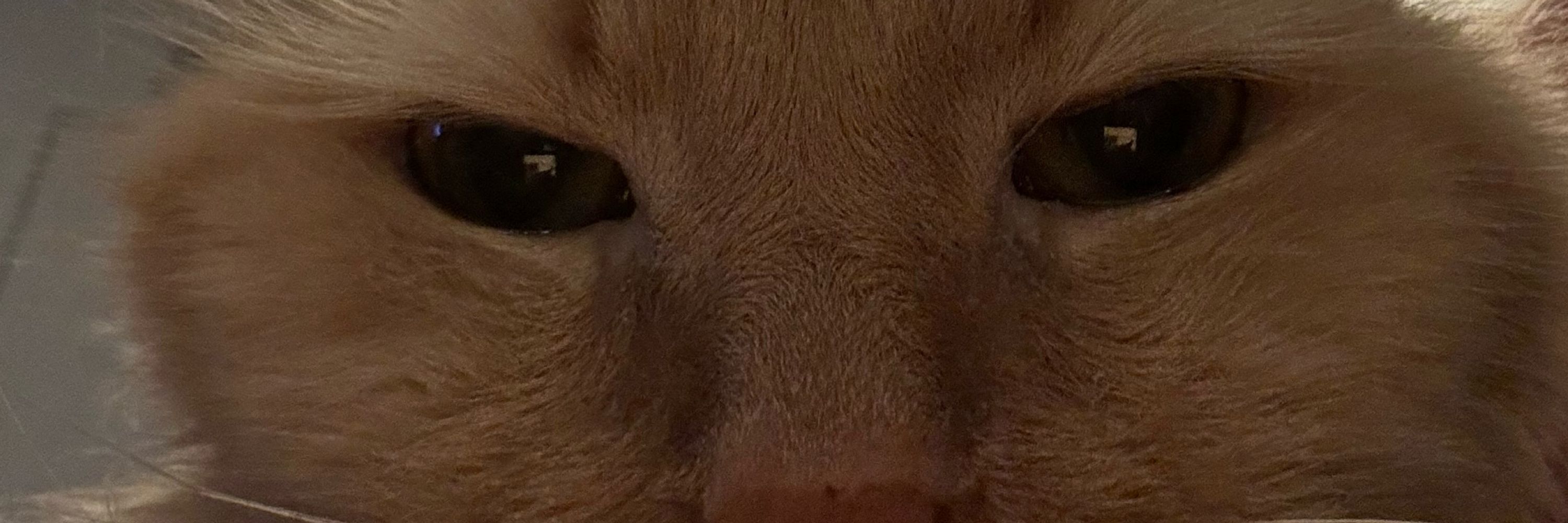 Mike