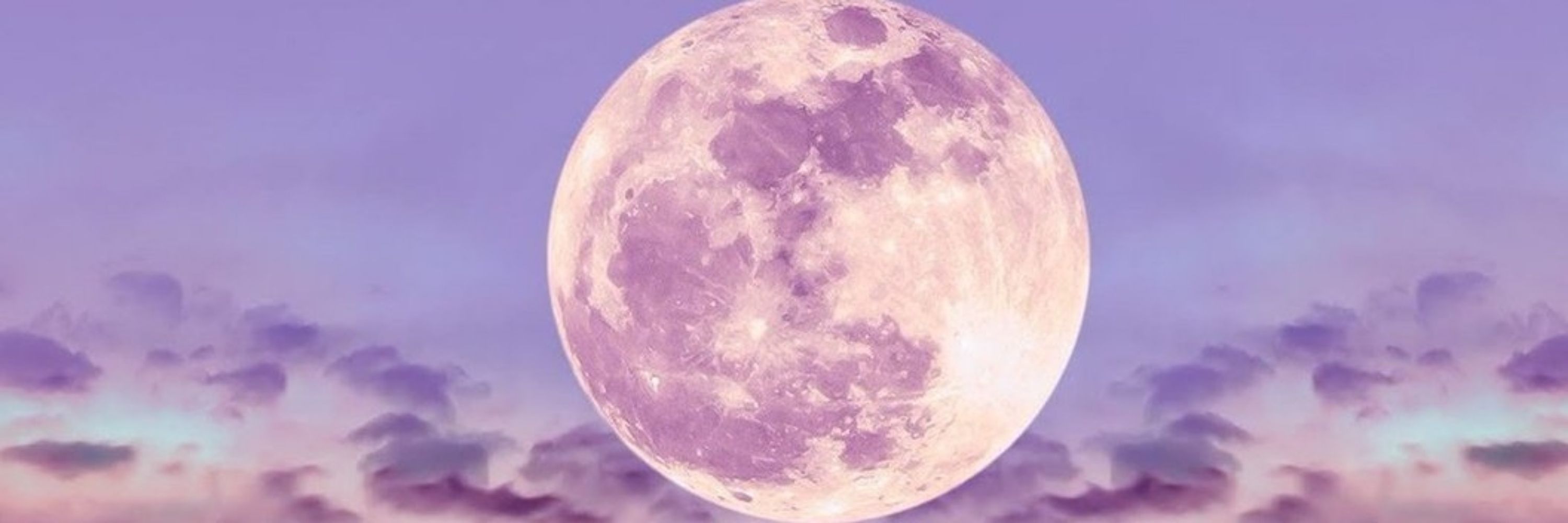 echogiggles 🌙