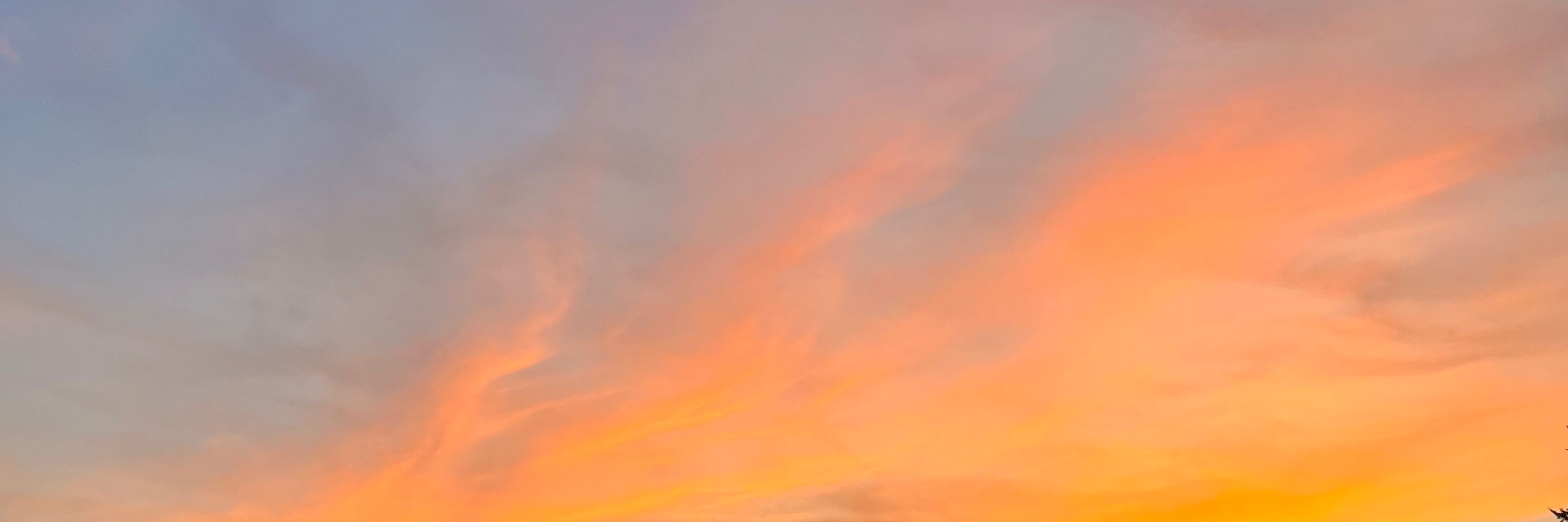 Bóxī Wú 吴泊曦 