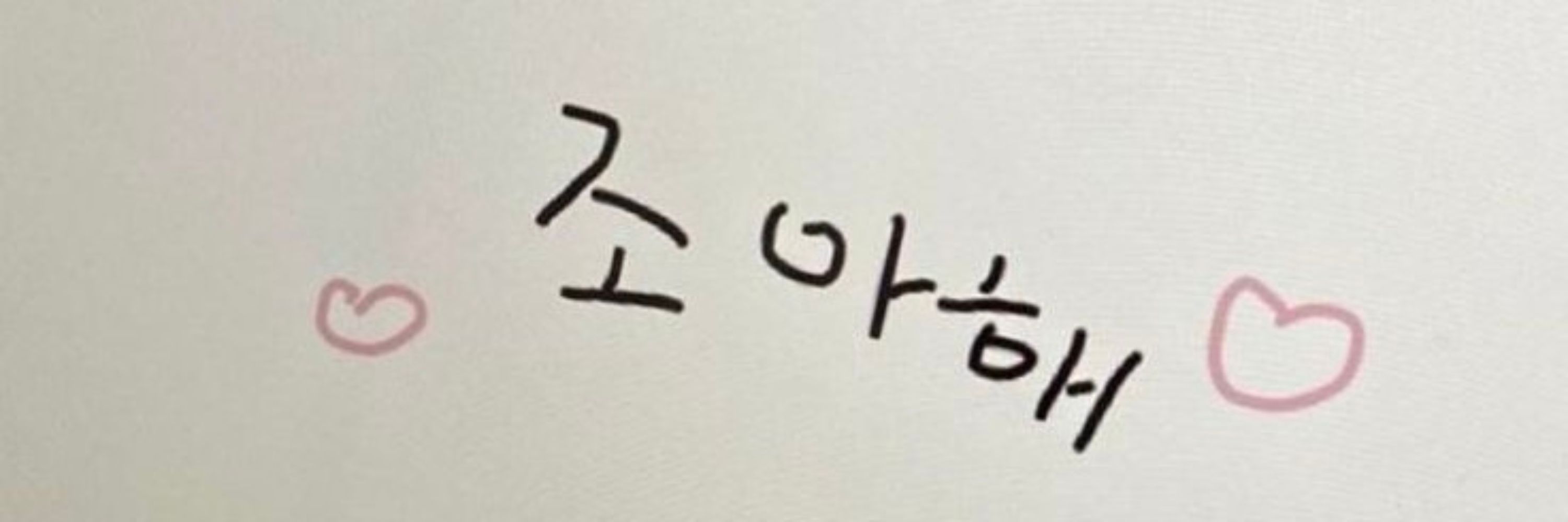 숄