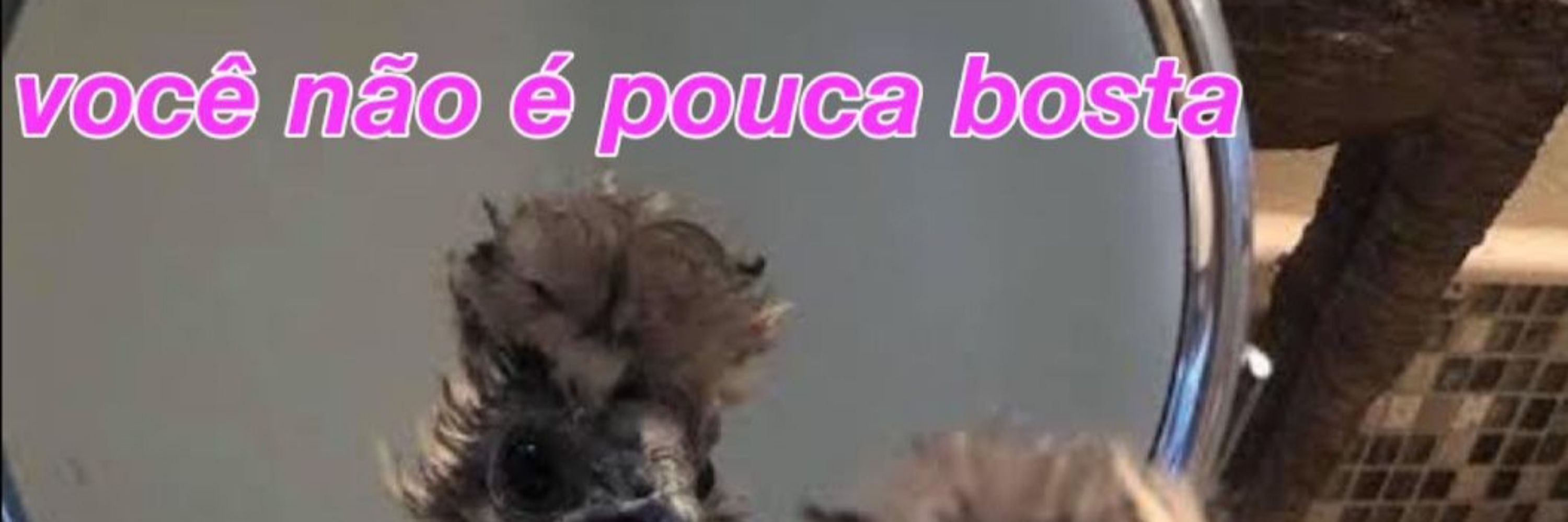 Loree