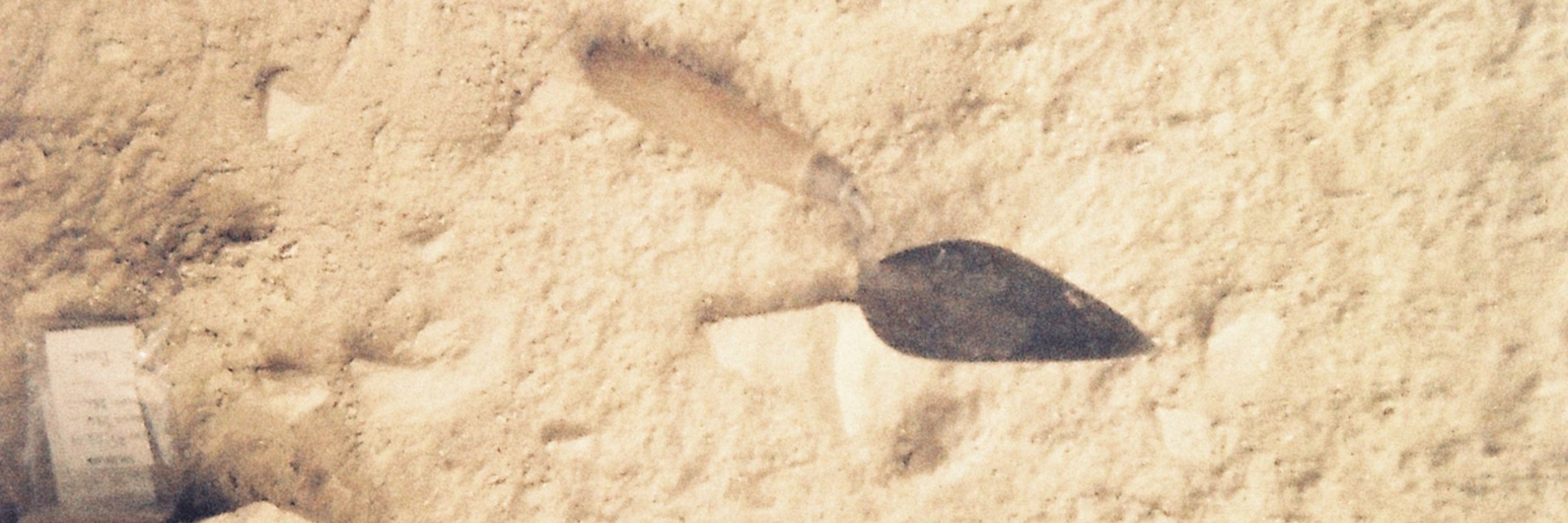 Sabrina N. Autenrieth