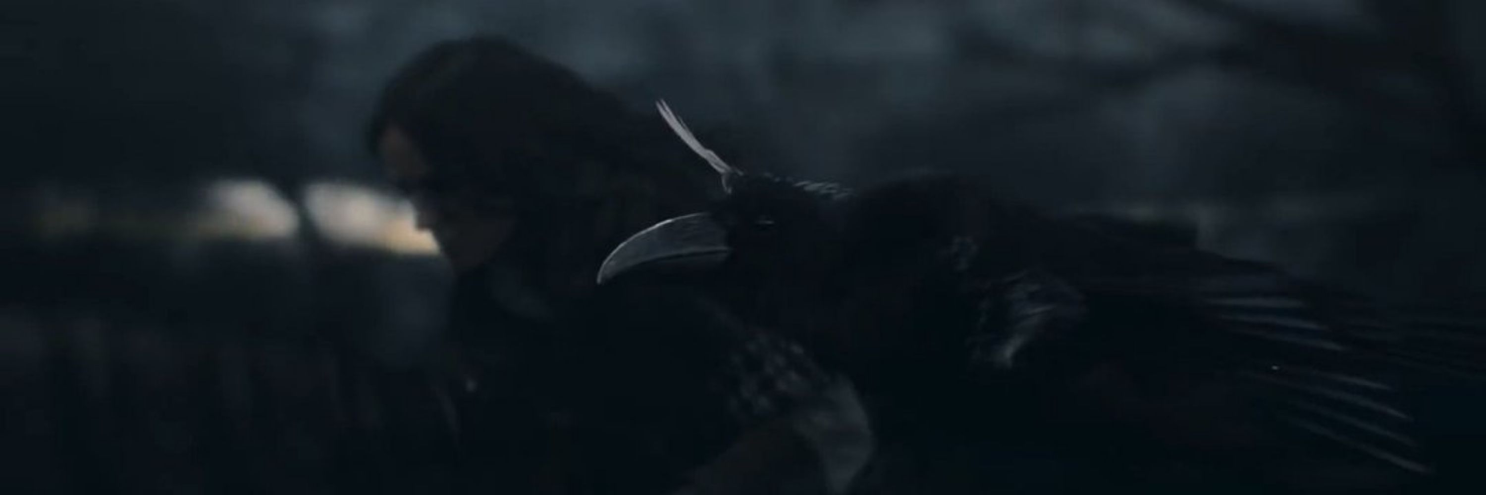 Raven